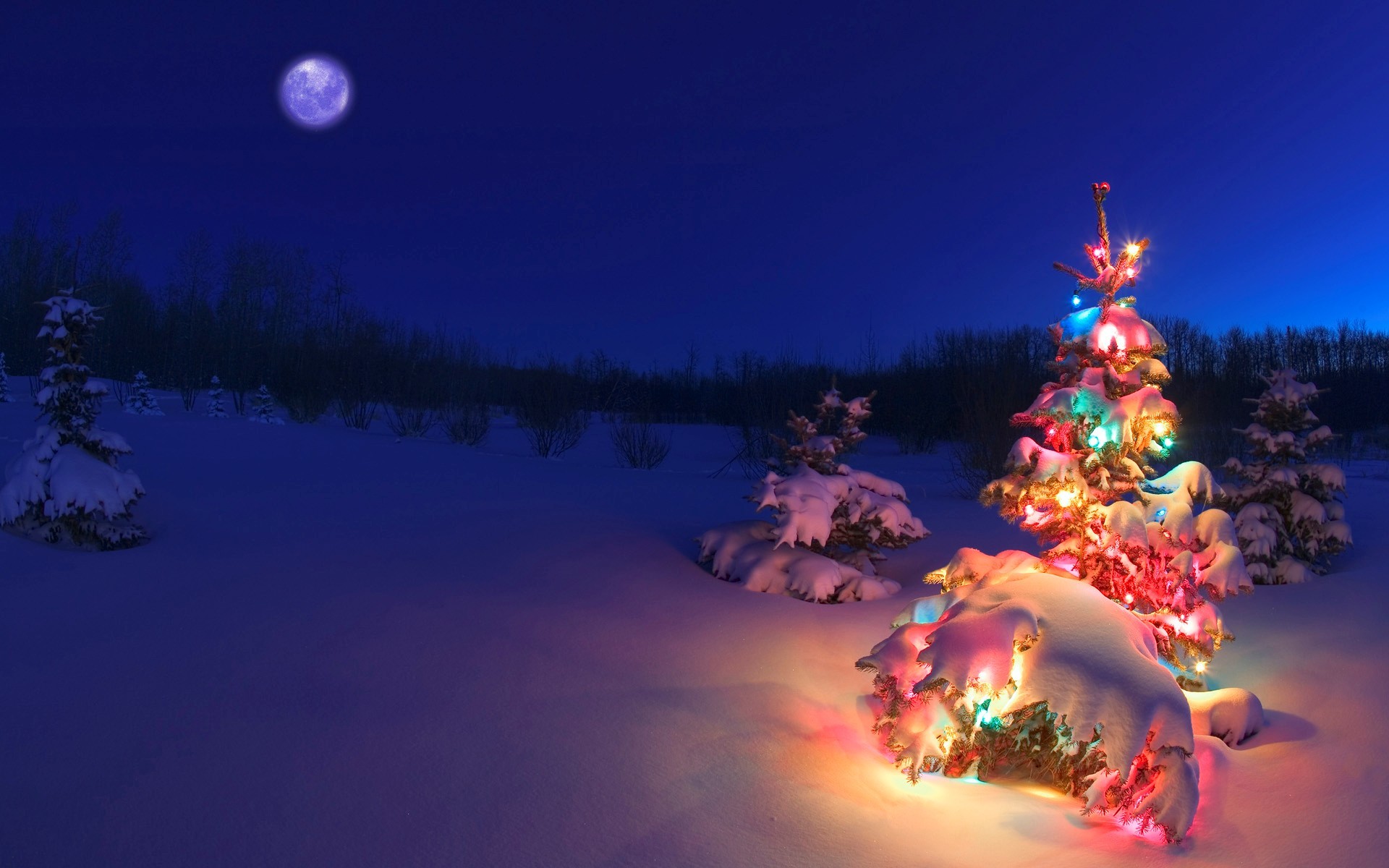 Albero di Natale, Luci colorate, Neve, Notte, Luna, Full HD, sfondo Windows 11