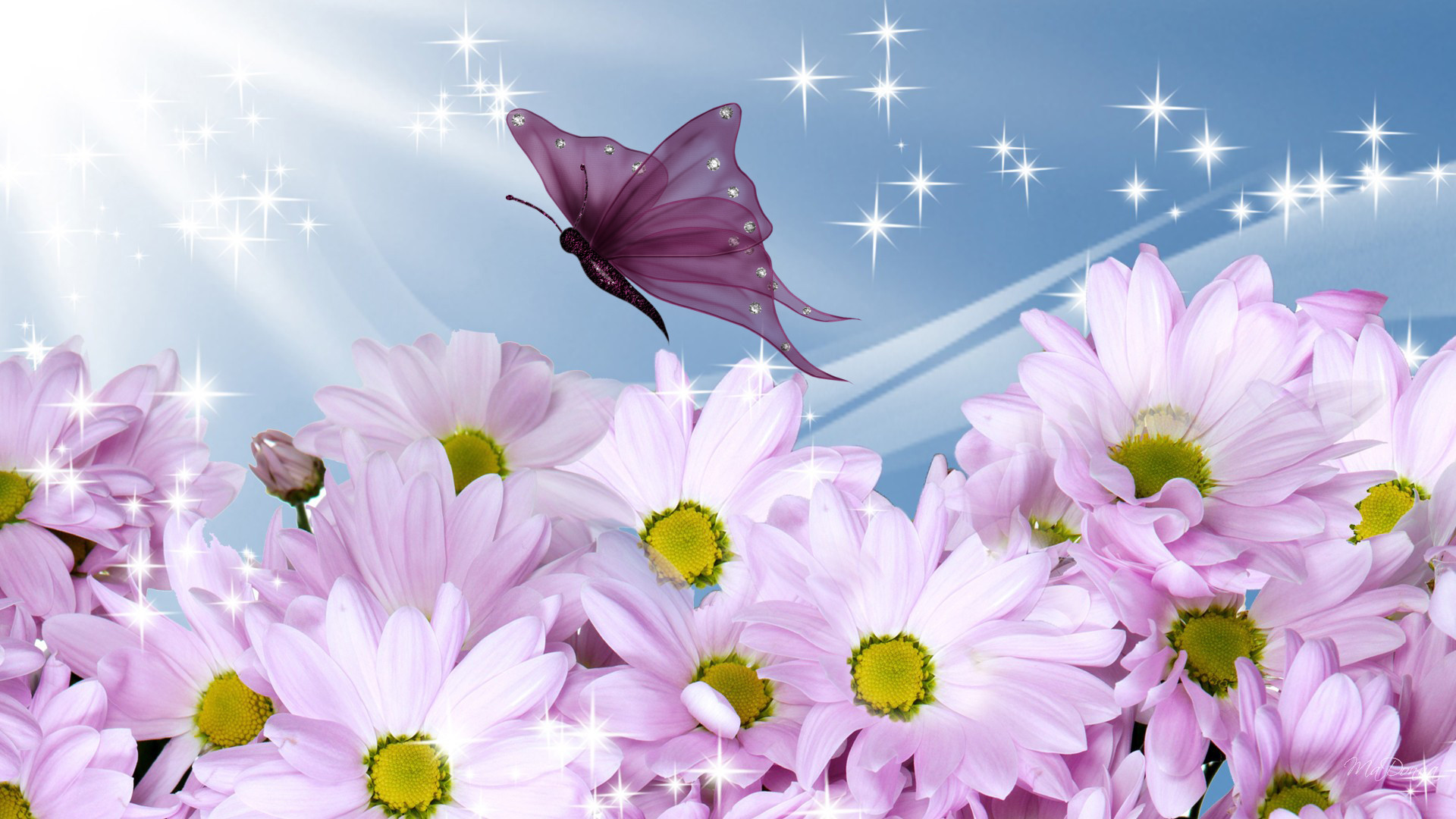 Margherite lilla, Farfalla, Stelle, Arte digitale, Azzurro, 1920x1080, wallpaper desktop