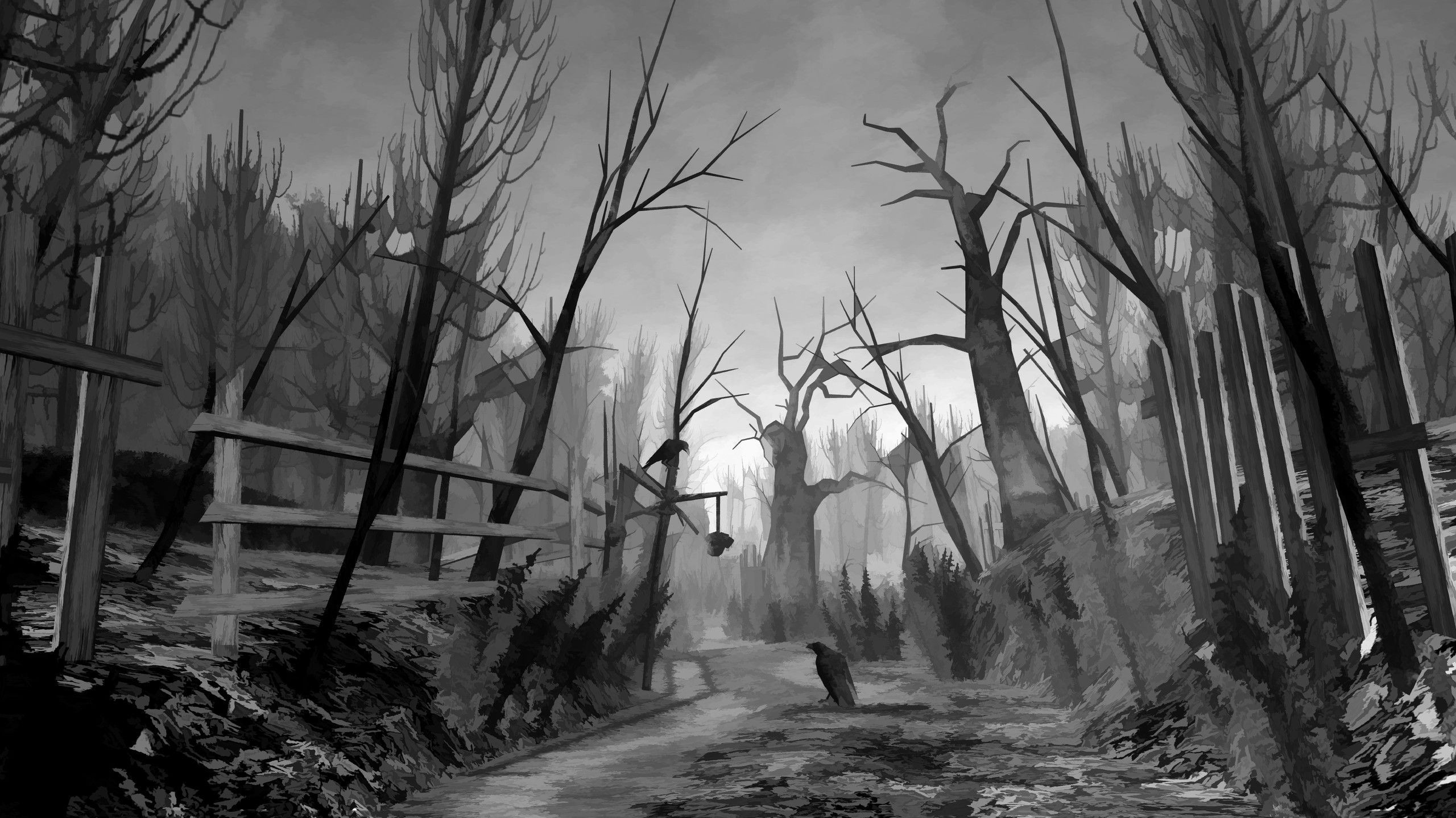 Foresta spettrale, Alberi spogli, Sentiero, Bianco e nero, 16:9 2K, sfondo widescreen