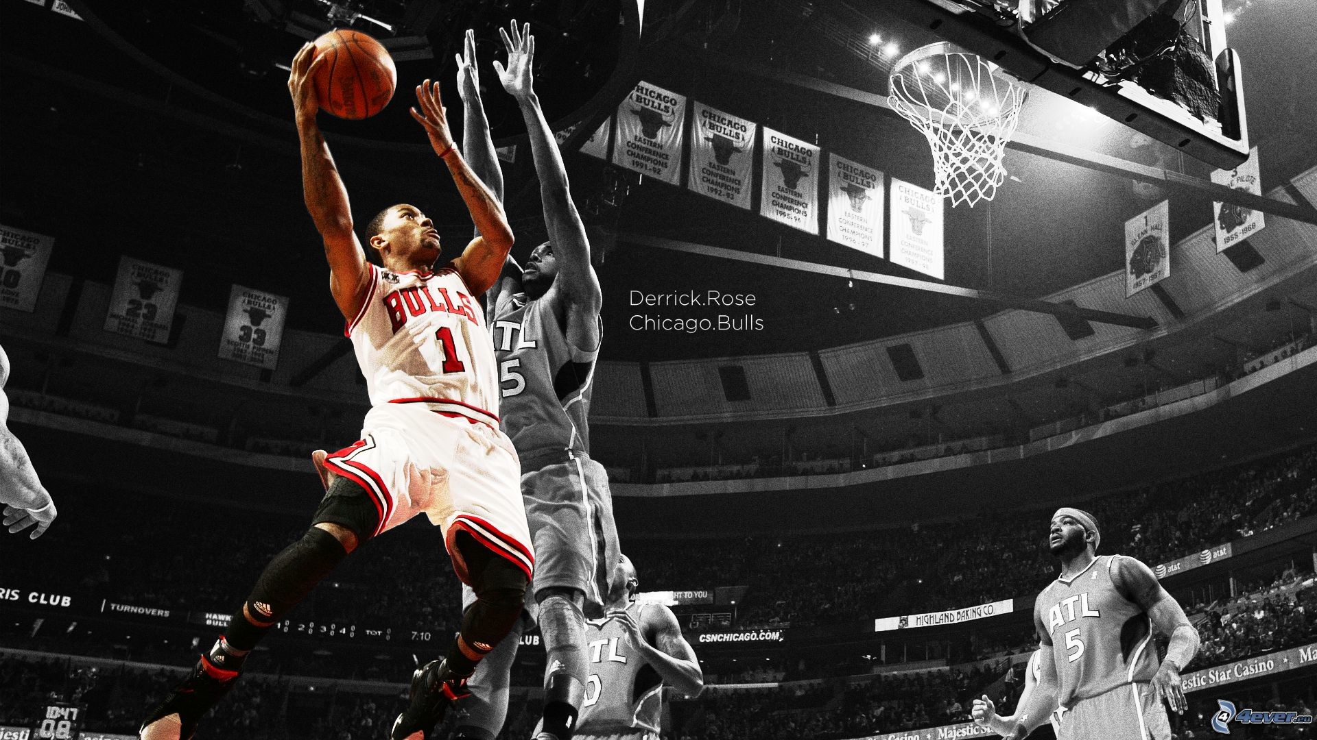 Derrick Rose, Chicago Bulls, NBA, Bianco e nero, 16:9 Full HD, sfondo widescreen