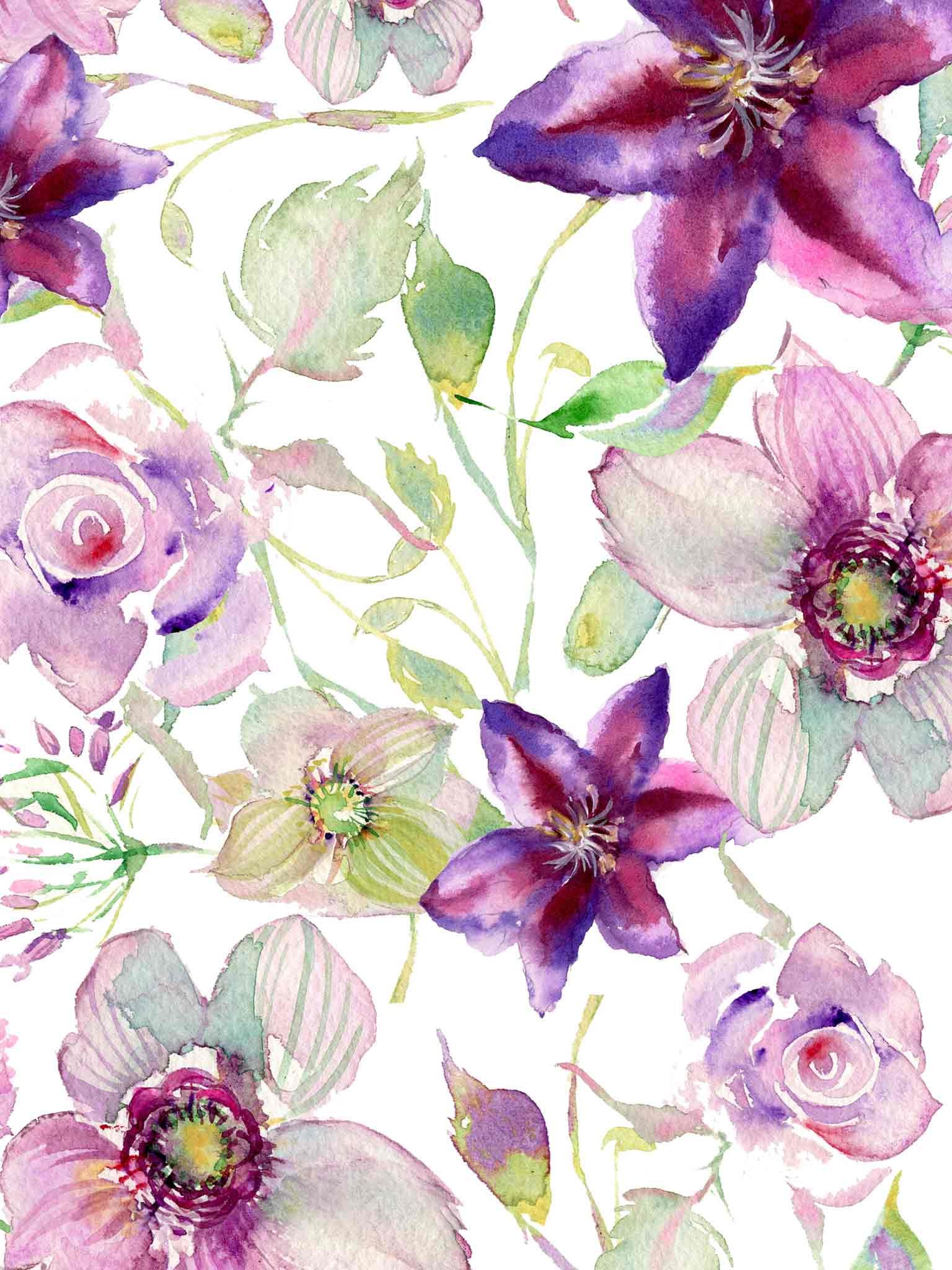 Clematide, Rose, Motivo floreale, Acquerello, Viola, QHD+, sfondo per iPad e tablet