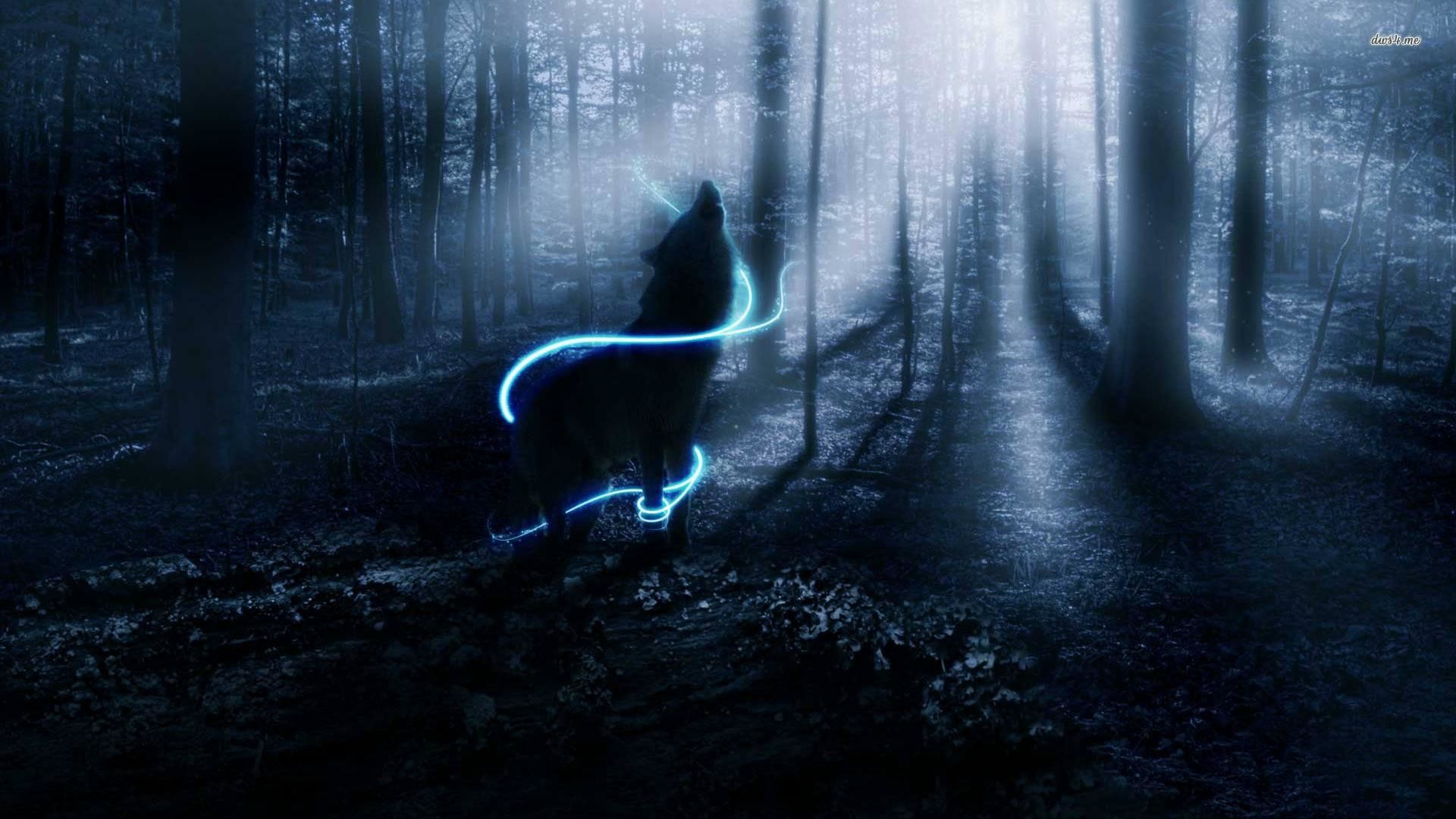 Lupo, Foresta, Notte, Luce blu, 1920x1080, sfondo per PC