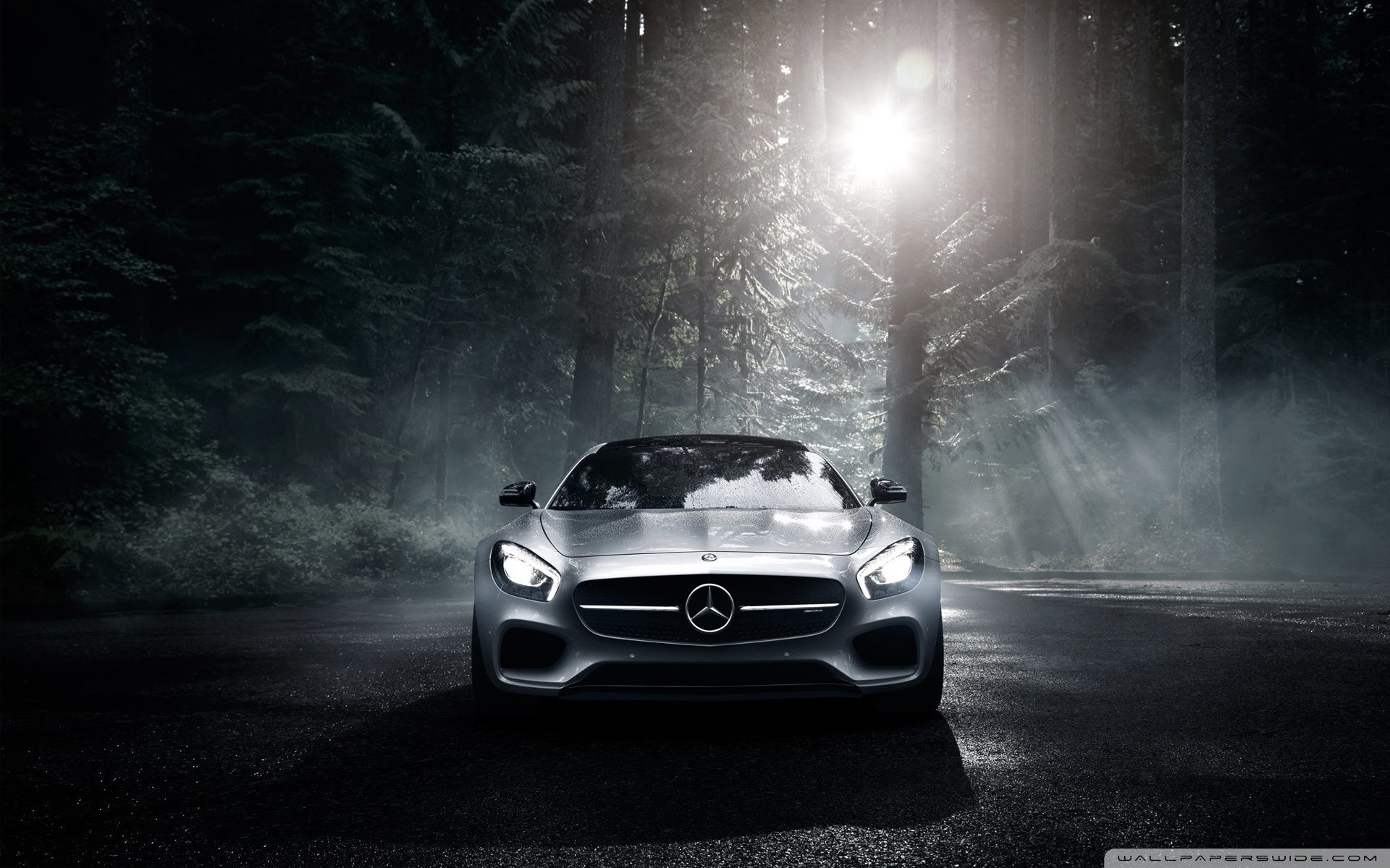 Mercedes-AMG GT, Bosco, Nebbia, Notte, sfondo per desktop