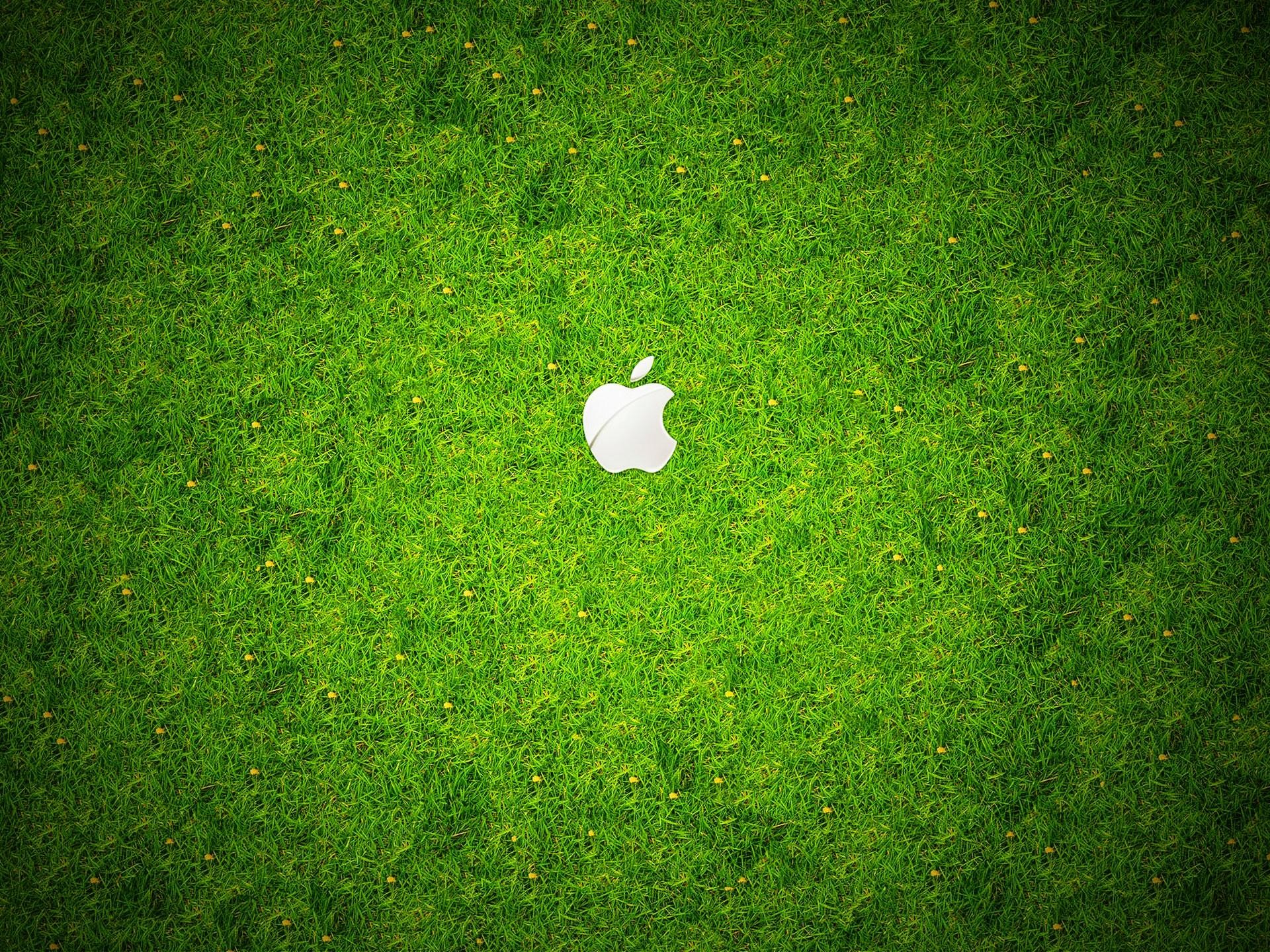 Logo Apple, Apple, Texture erba, Verde, sfondo per iPad e tablet