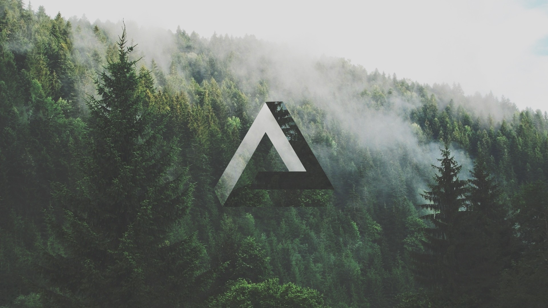 Triangolo di Penrose, Foresta, Nebbia, Full HD, sfondo Windows 11