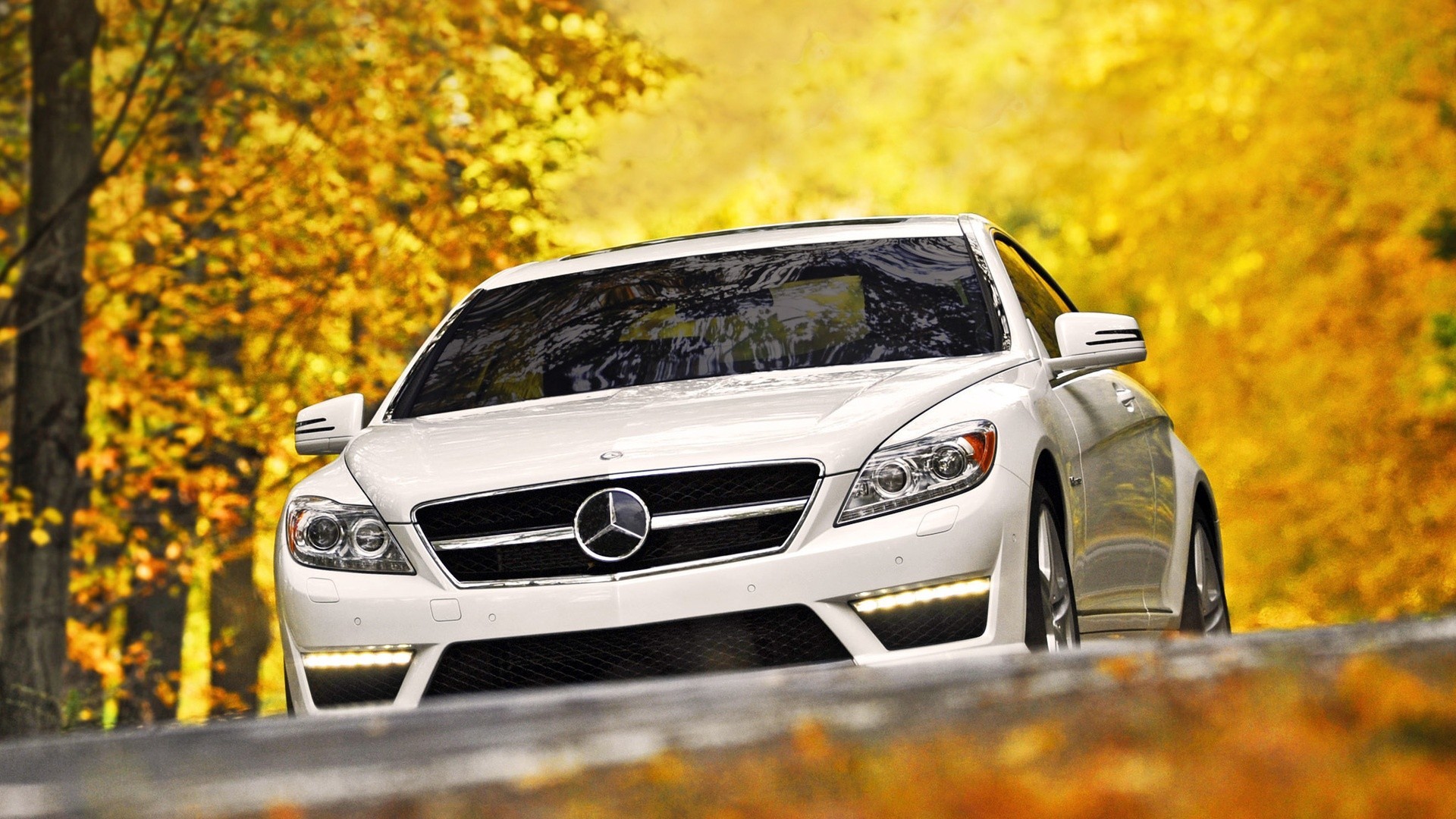 Mercedes-Benz CL, Bianco, Autunno, Foglie gialle, Auto di lusso, sfondo desktop 1920x1080