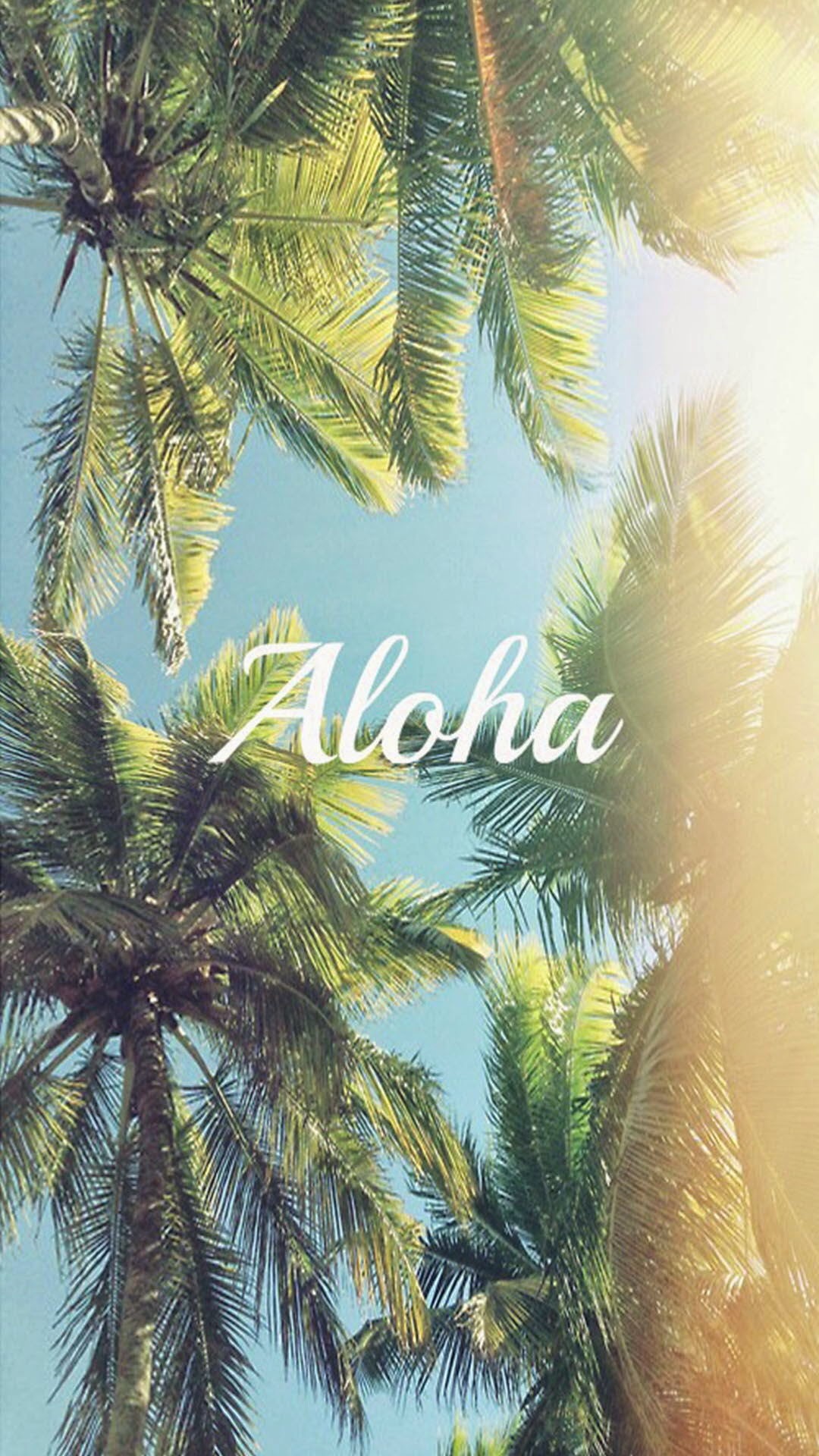 Aloha, Palme, Hawaii, Estate, sfondo iPhone 6