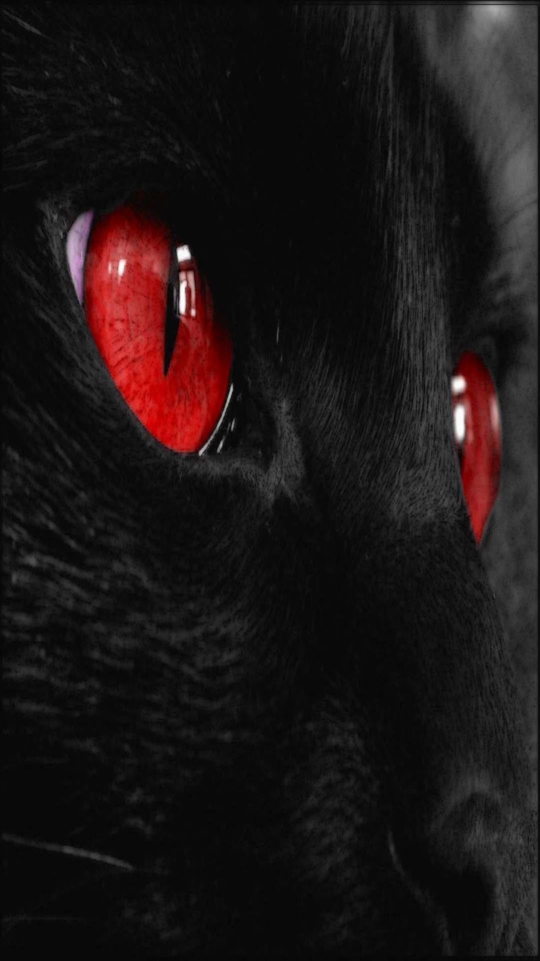 Gatto nero, Occhi rossi, Scuro, sfondo per iPhone 5S