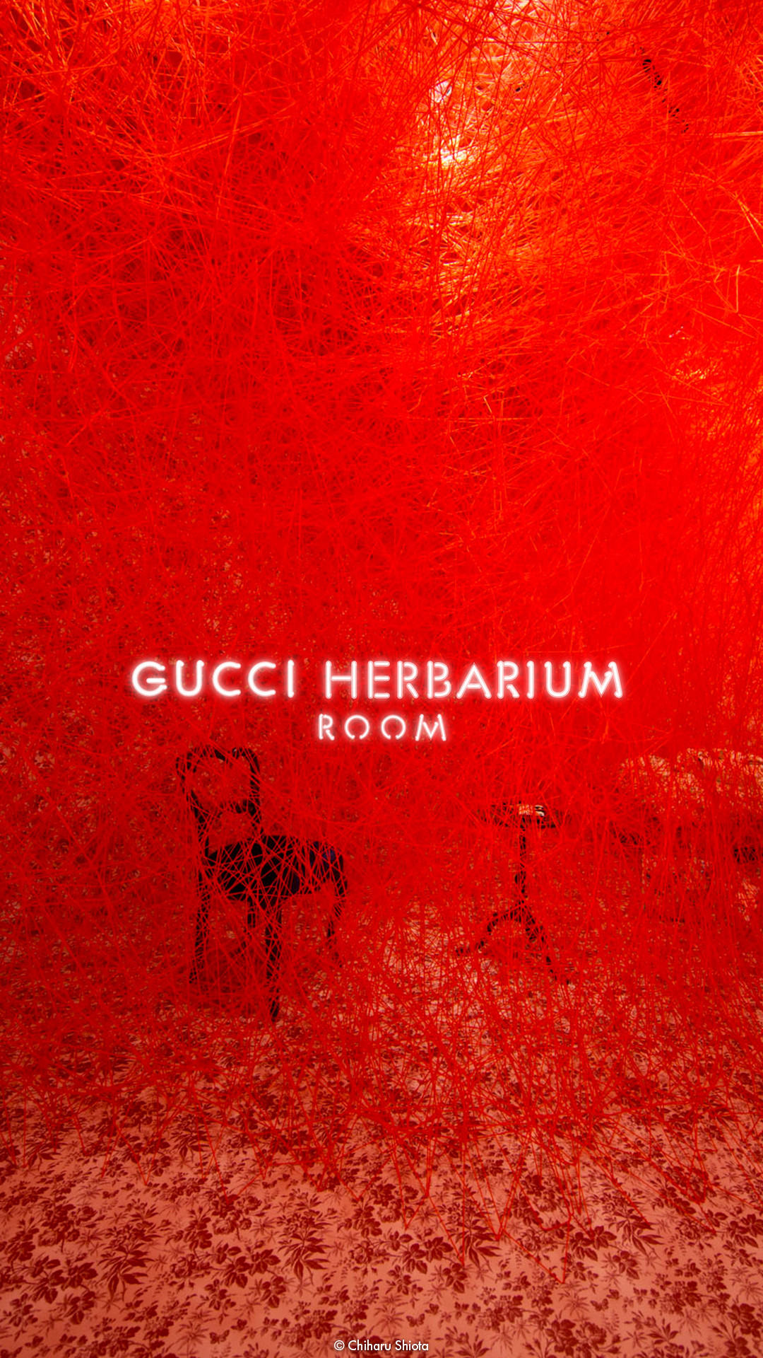 Gucci Herbarium Room, Gucci, Rosso, Installazione, sfondo per iPhone e Android