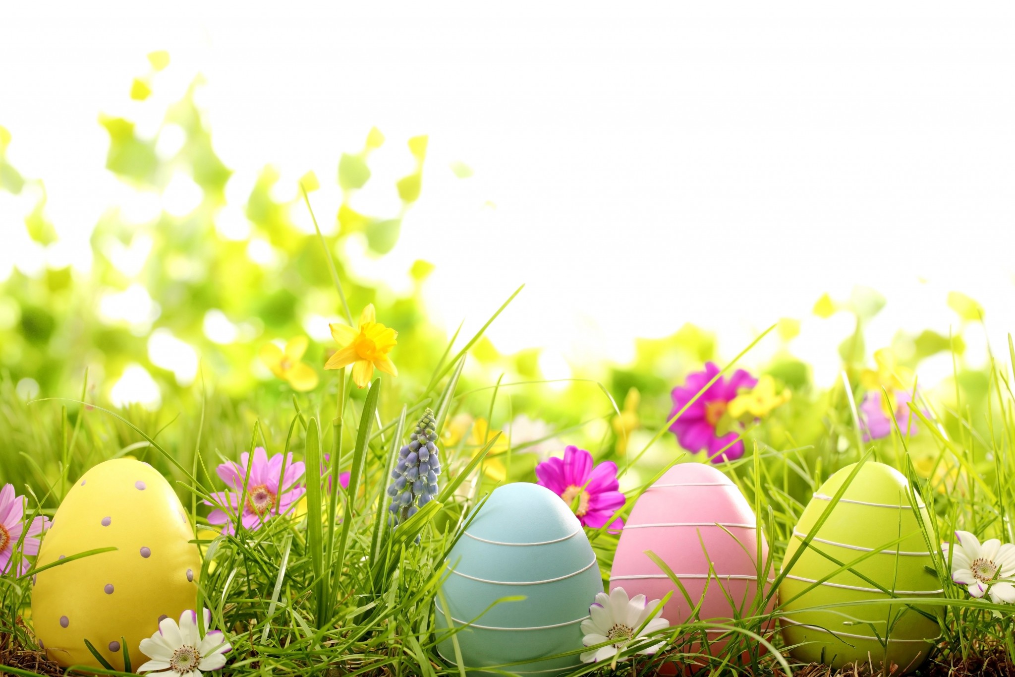 Uova di Pasqua, Erba, Primavera, Bokeh, Full HD, sfondo desktop