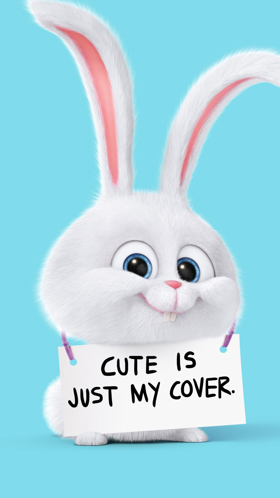 Nevosetto, Pets - Vita da animali, Coniglio, Cute is just my cover, sfondo per iPhone