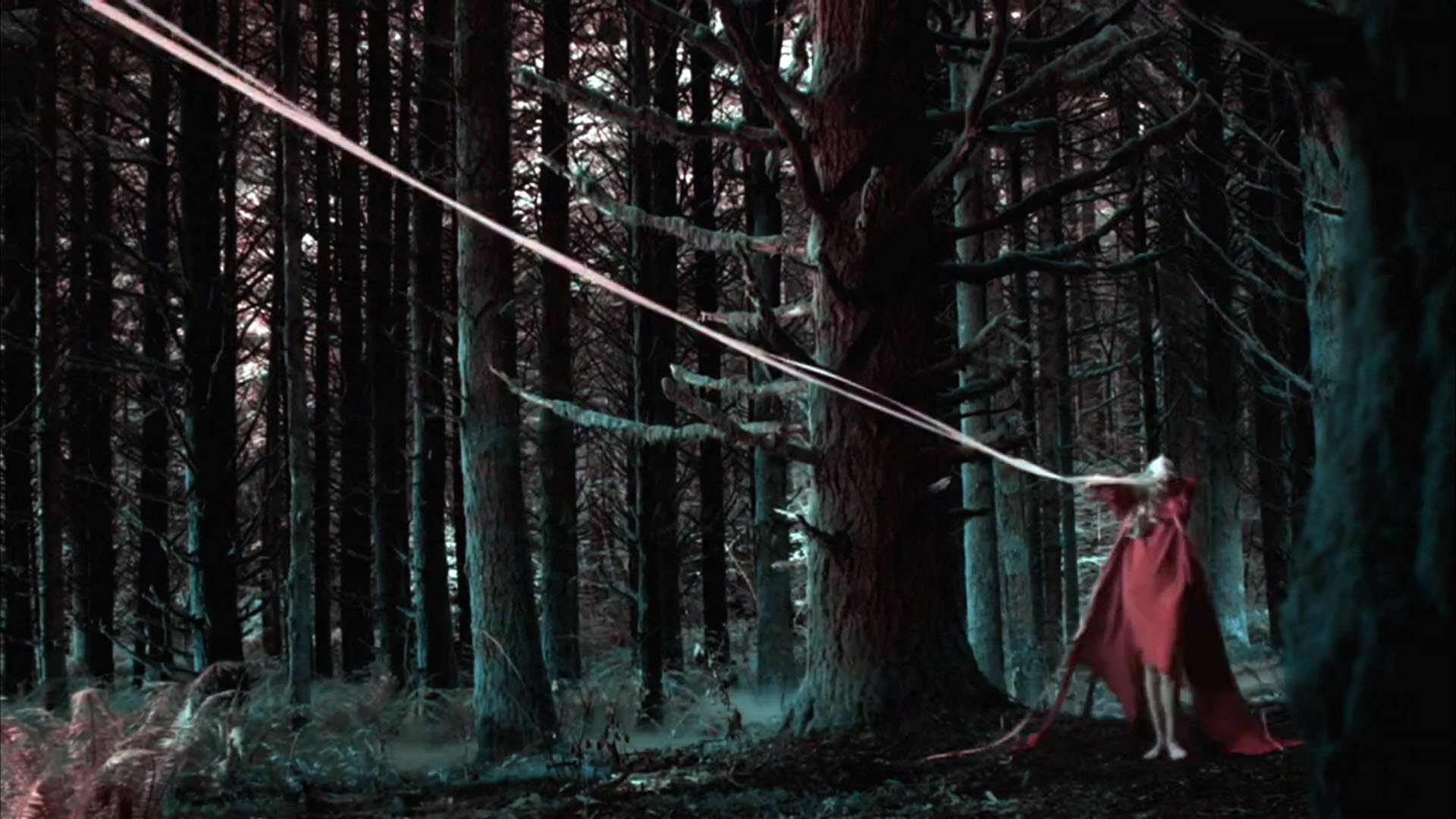 American Horror Story: Roanoke, Bosco, Mantello rosso, Alberi, Horror, sfondo per portatile