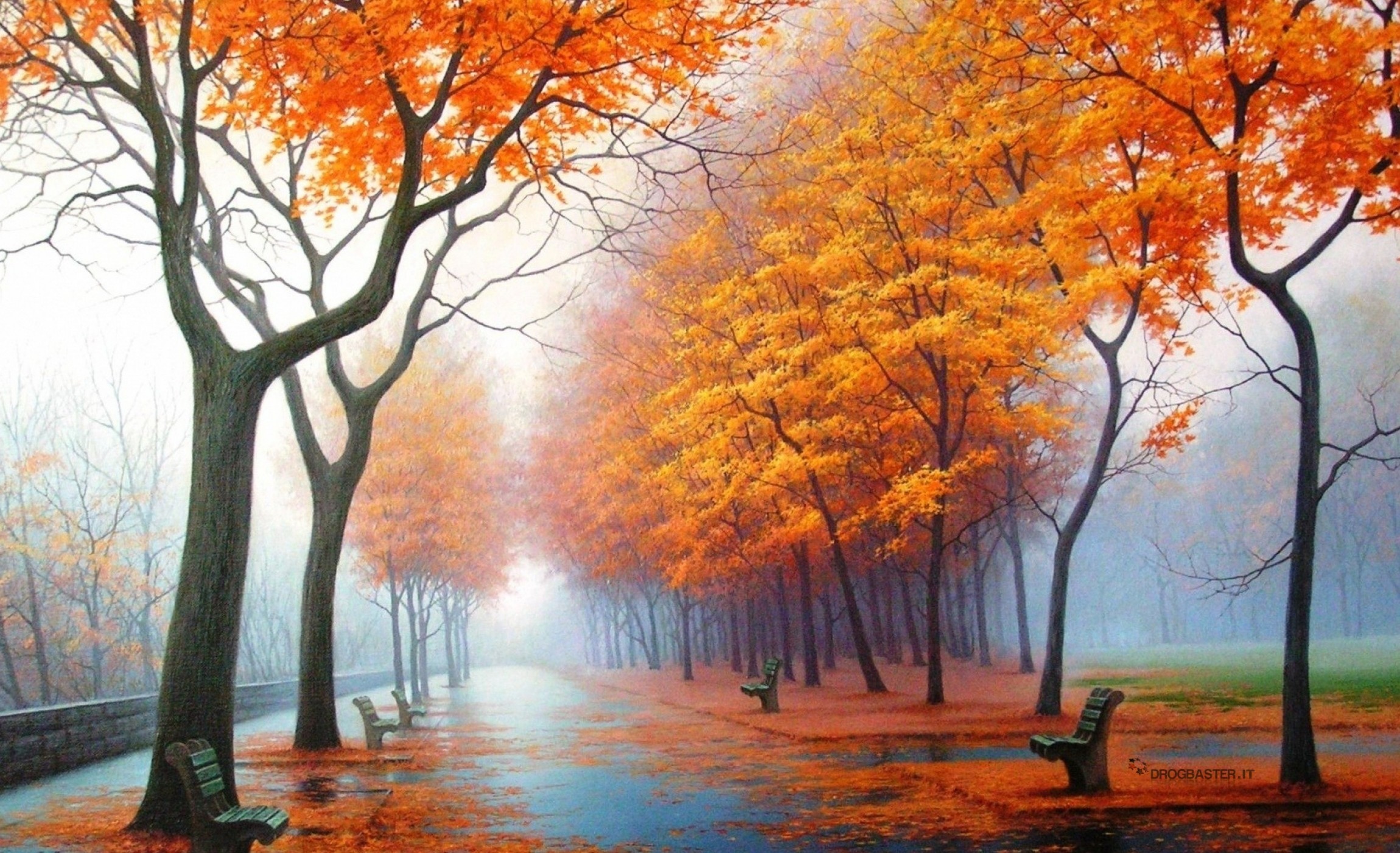 Viale alberato, Autunno, Foglie arancioni, Parco, Nebbia, Panchine, Pittura digitale, sfondo per Windows 10