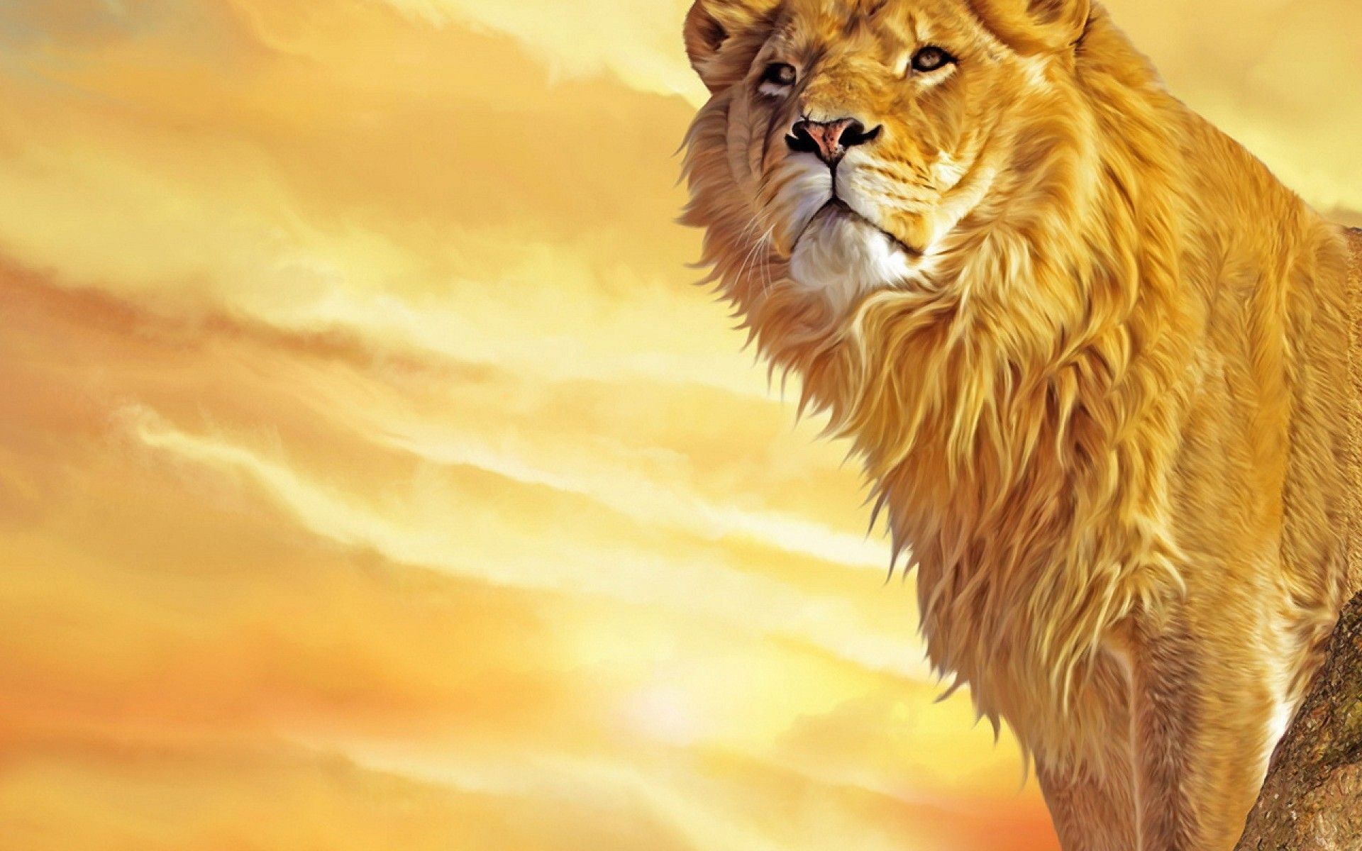 Leone, Arte digitale, Cielo dorato, Tramonto, 1920x1200, immagine di sfondo
