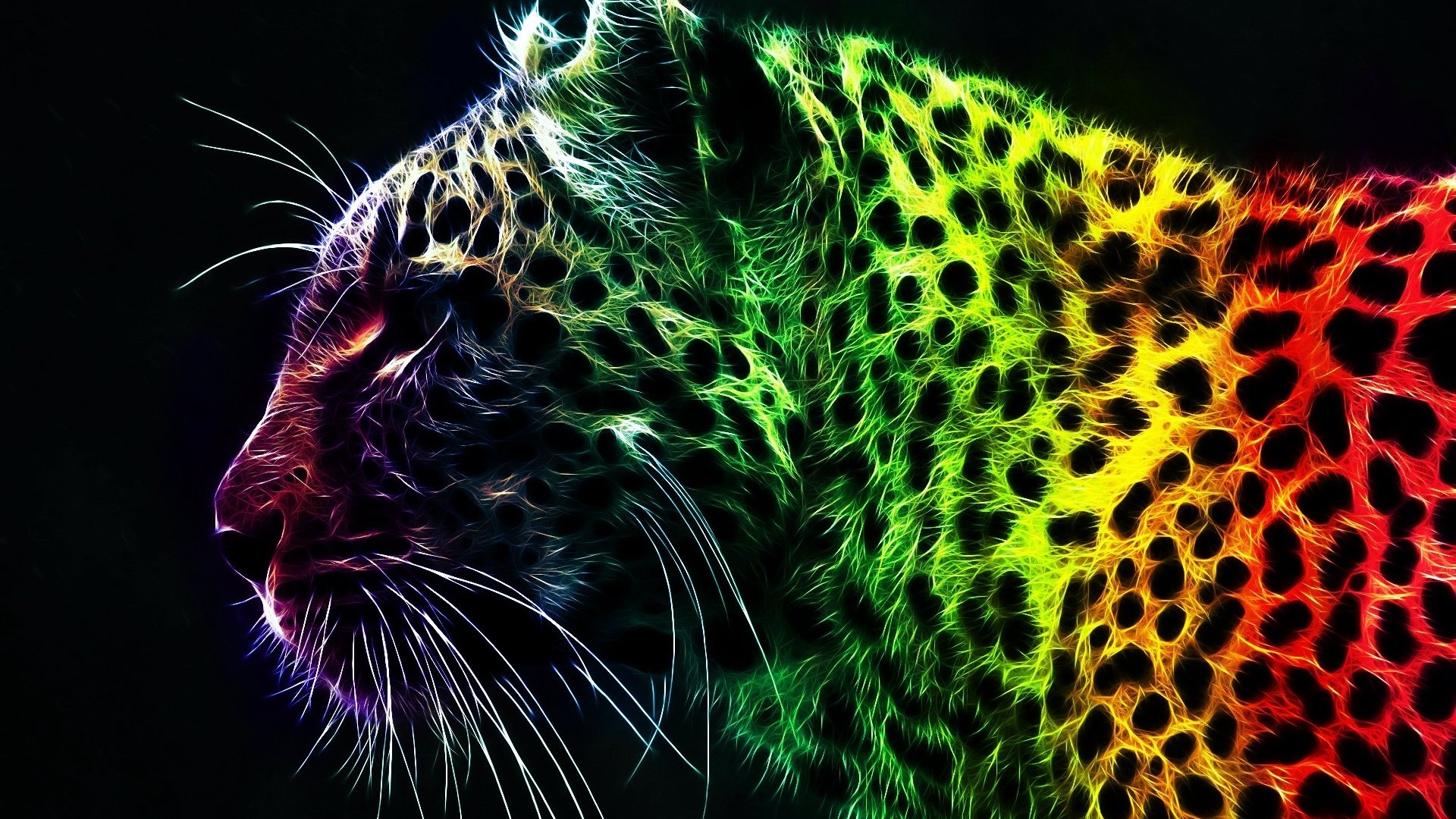 Leopardo, Effetto frattale, Arcobaleno, Arte digitale, Full HD 1080p, sfondo desktop