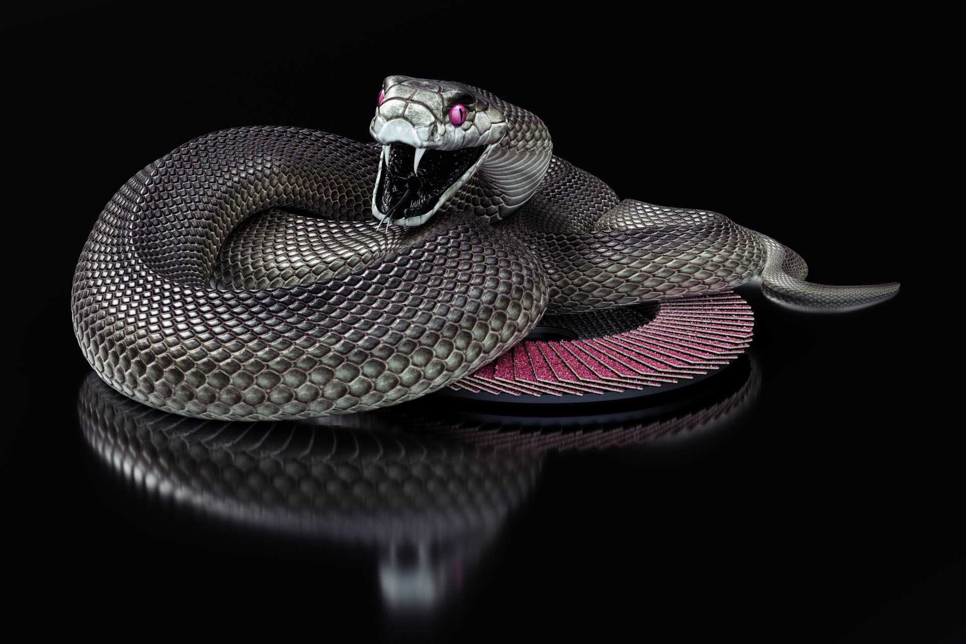 Serpente, Bocca aperta, Sfondo nero, Riflesso, Full HD, wallpaper per portatile