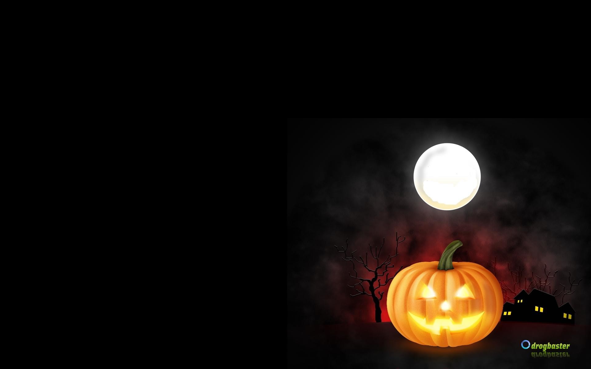 Zucca di Halloween, Halloween, Luna piena, Notte, Sfondo nero, 1920x1200, wallpaper desktop