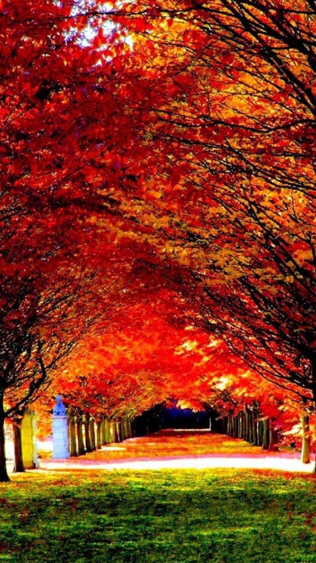 Viale alberato, Autunno, Foglie rosse, Parco, Full HD, sfondo per iPhone e Android