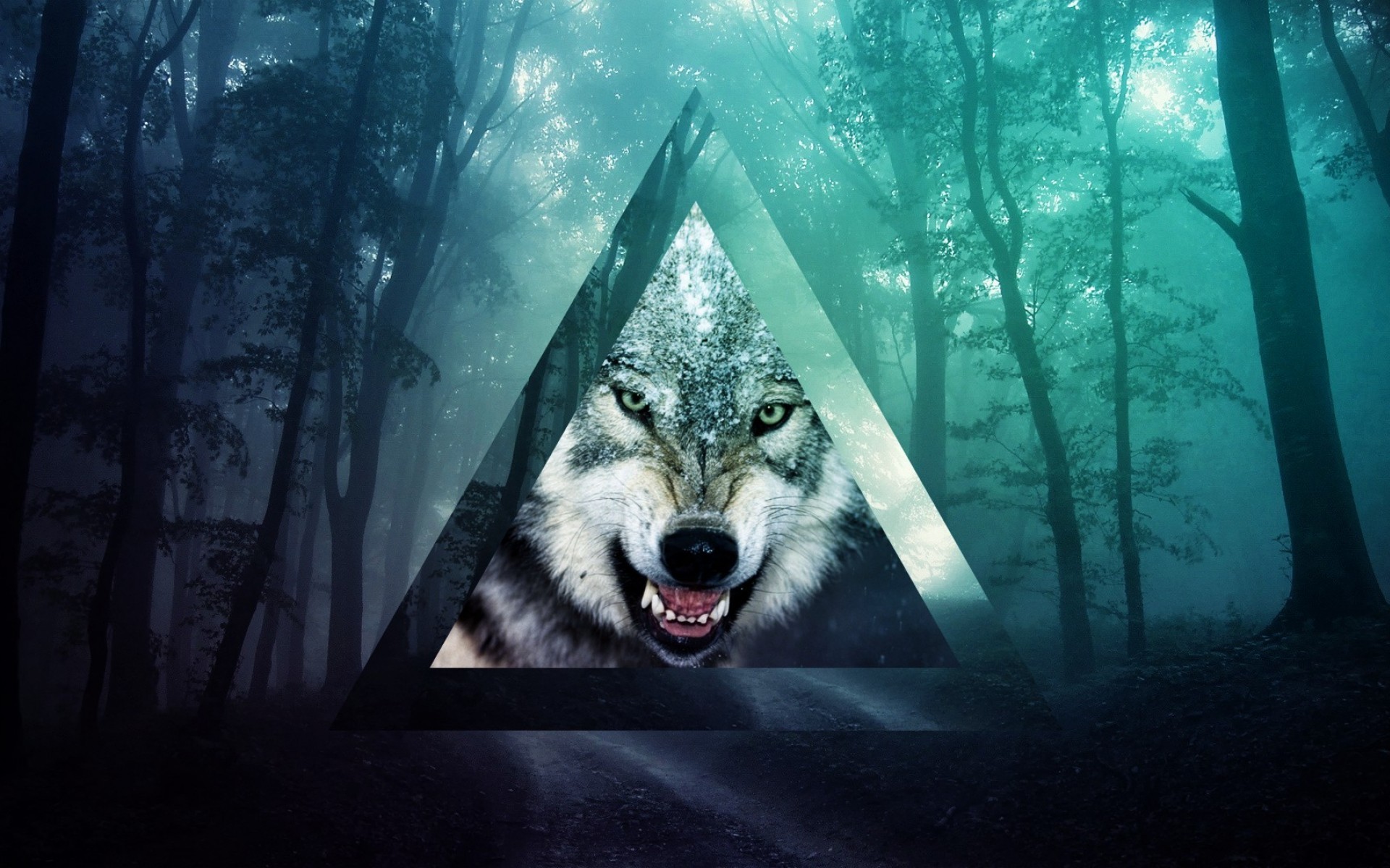 Lupo, Triangolo, Foresta, Hipster, 16:10 Full HD, sfondo widescreen
