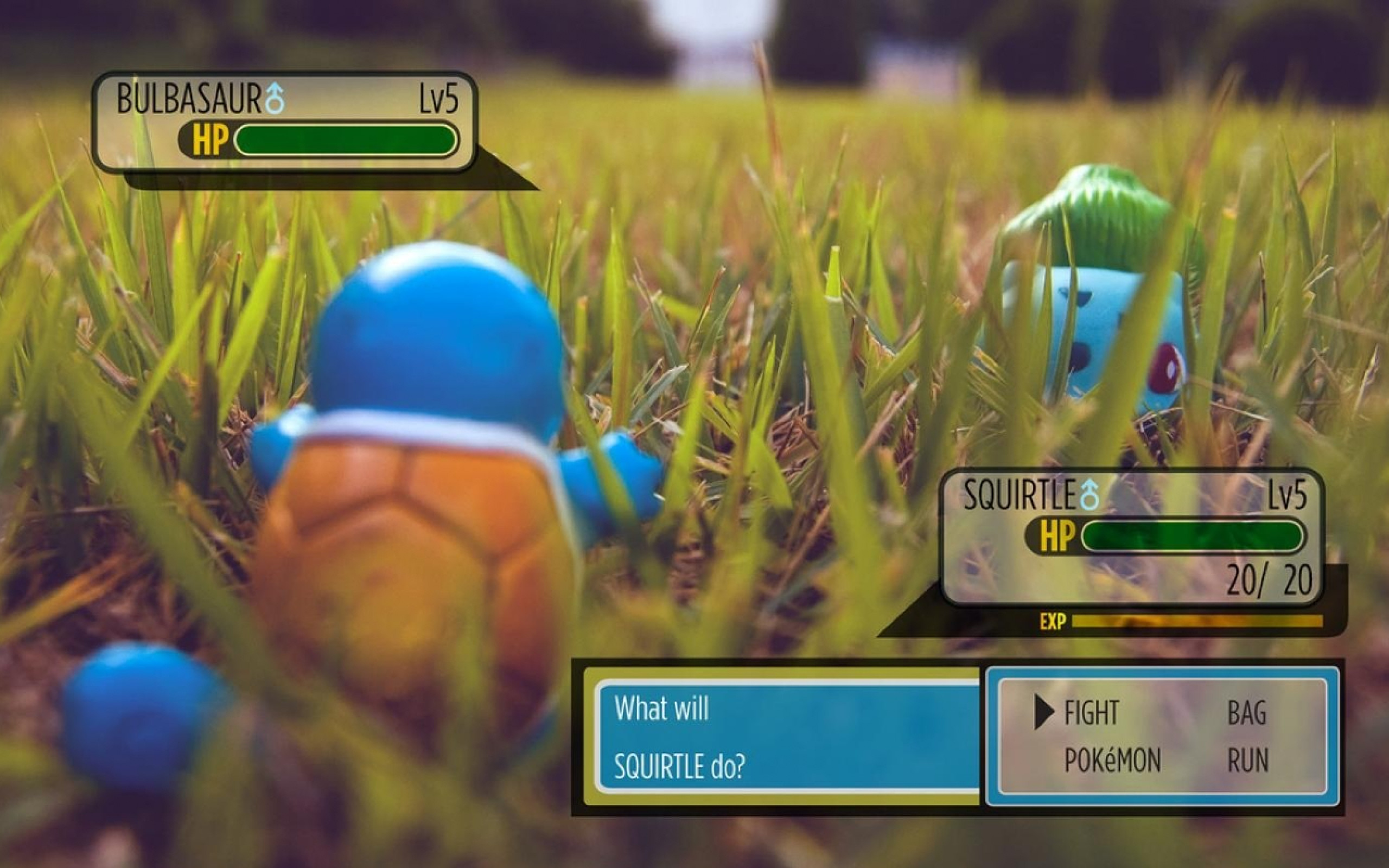 Squirtle, Bulbasaur, Pokémon, Lotta, Erba, 2560x1600, sfondo per PC