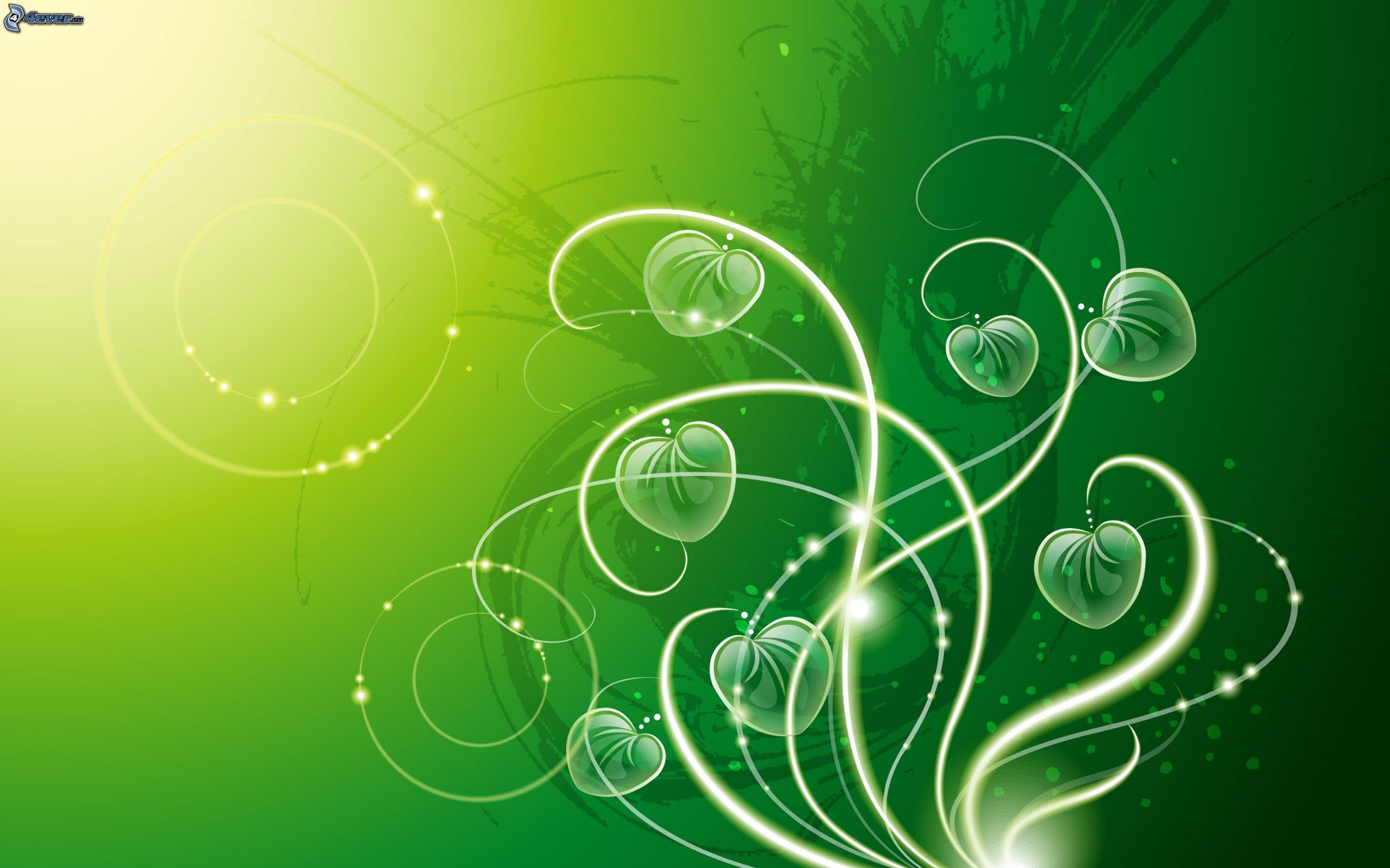 Motivo floreale, Riccioli, Verde, Arte digitale, 2K 1600p, sfondo desktop
