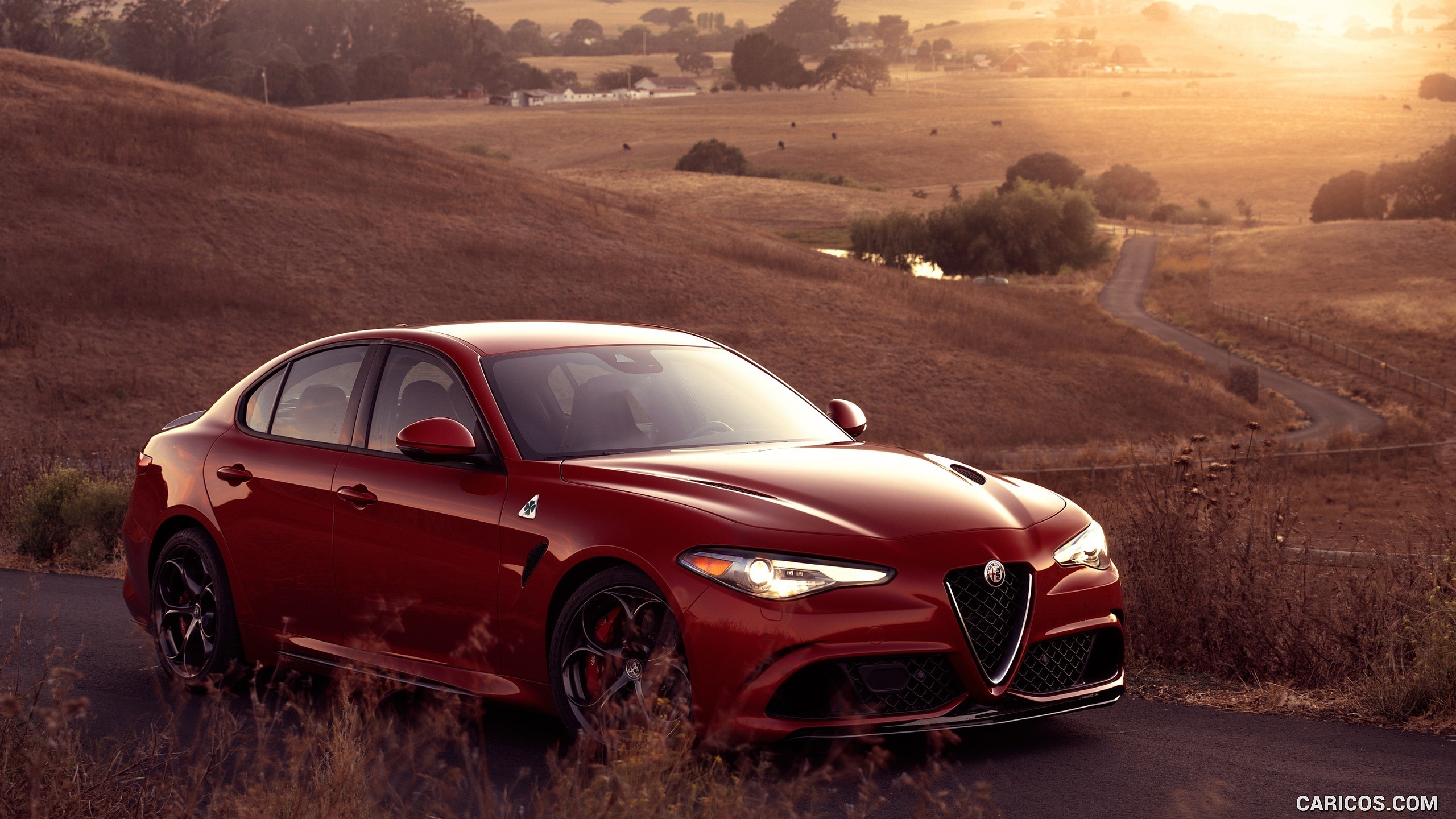 Alfa Romeo Giulia Quadrifoglio, Alfa Romeo, Colline, Tramonto, 2560x1440, sfondo per PC