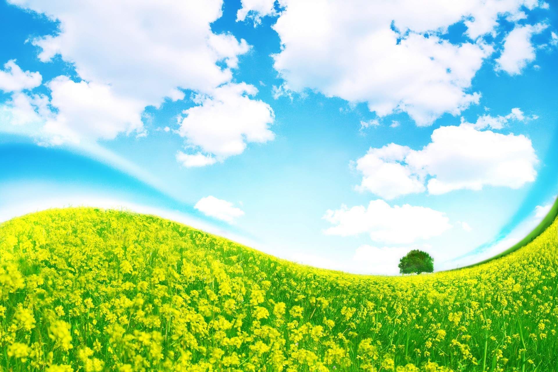 Collina, Fiori gialli, Nuvole, Albero, Arte digitale, Full HD, wallpaper per computer