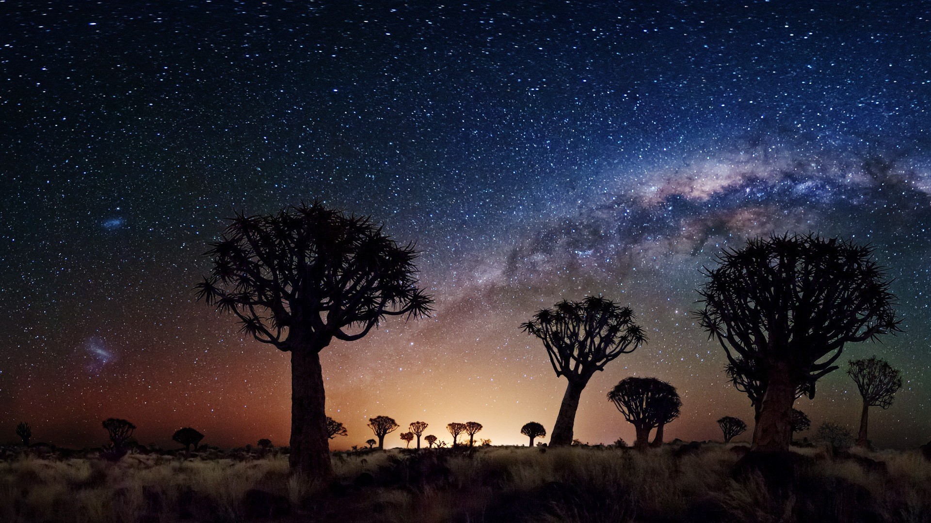 Via Lattea, Albero faretra, Namibia, Silhouette, 1920x1080, sfondo per PC