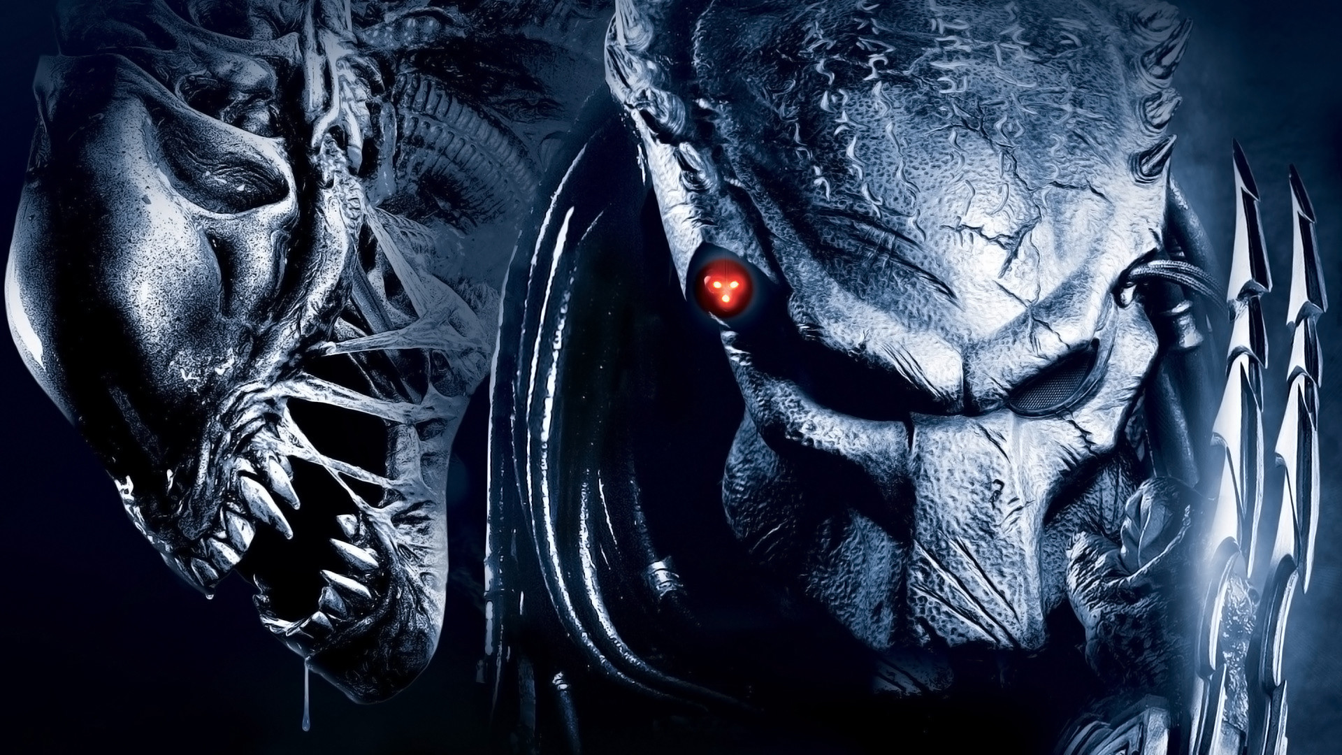 Alien vs. Predator, Predator, Xenomorfo, Primo piano, Full HD, sfondo per PC e portatile