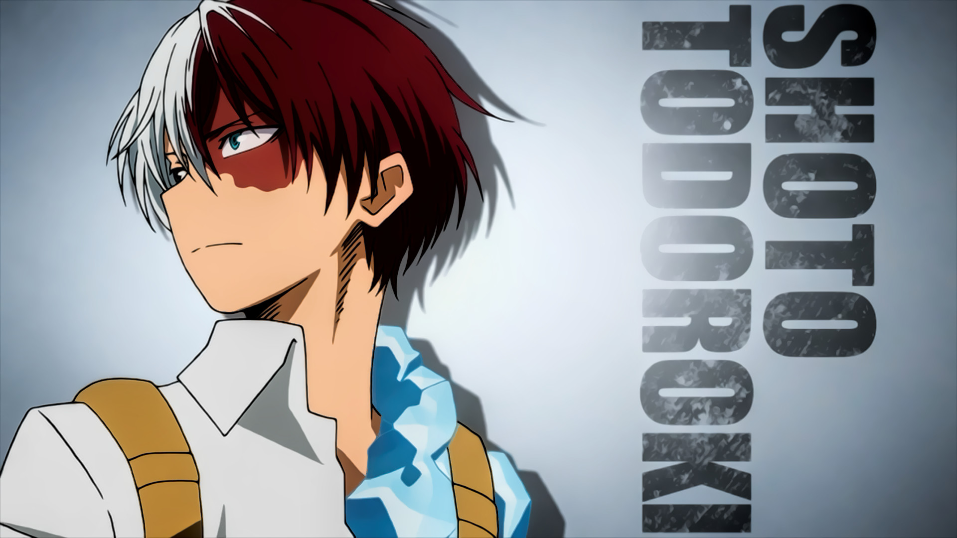 Shoto Todoroki, My Hero Academia, Tipografia, Profilo, Grigio, Full HD, sfondo per PC