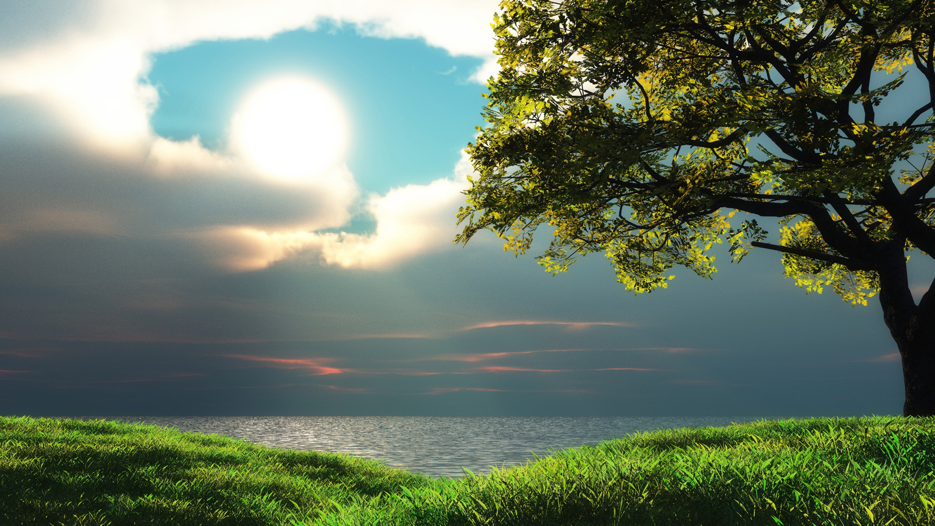 Albero, Mare, Sole, Prato, Full HD, sfondo per desktop