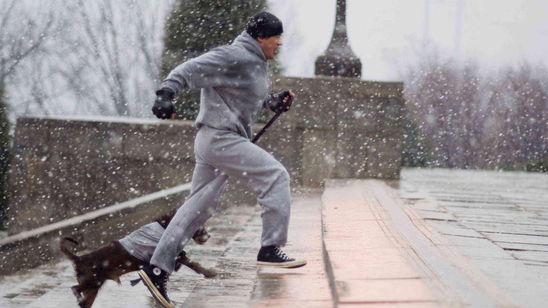 Rocky Balboa, Sylvester Stallone, Cane, Neve, Corsa, 1920x1080, sfondo per PC