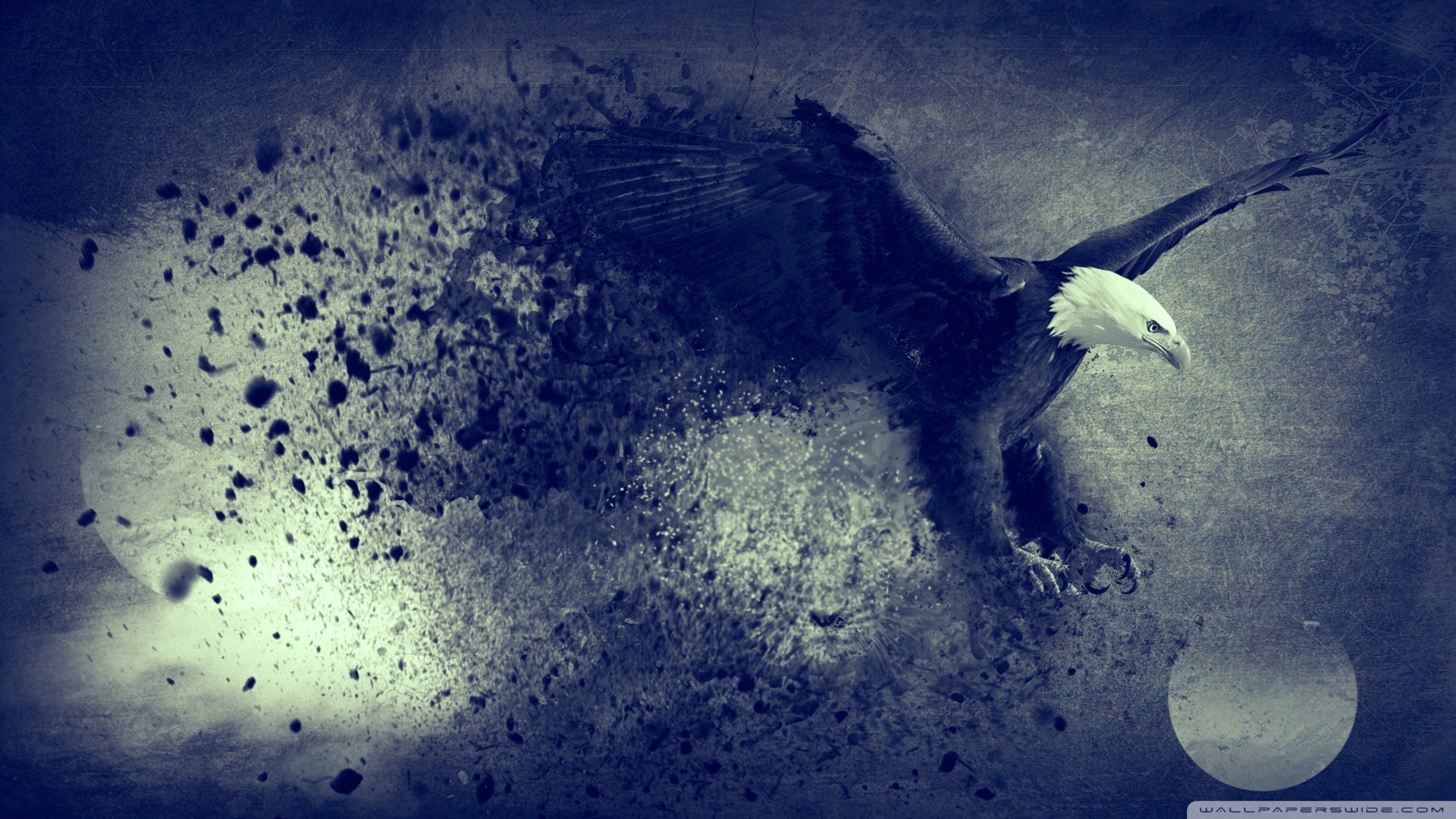 Aquila calva, Arte grunge, Volo, Blu, 1920x1080, sfondo per PC