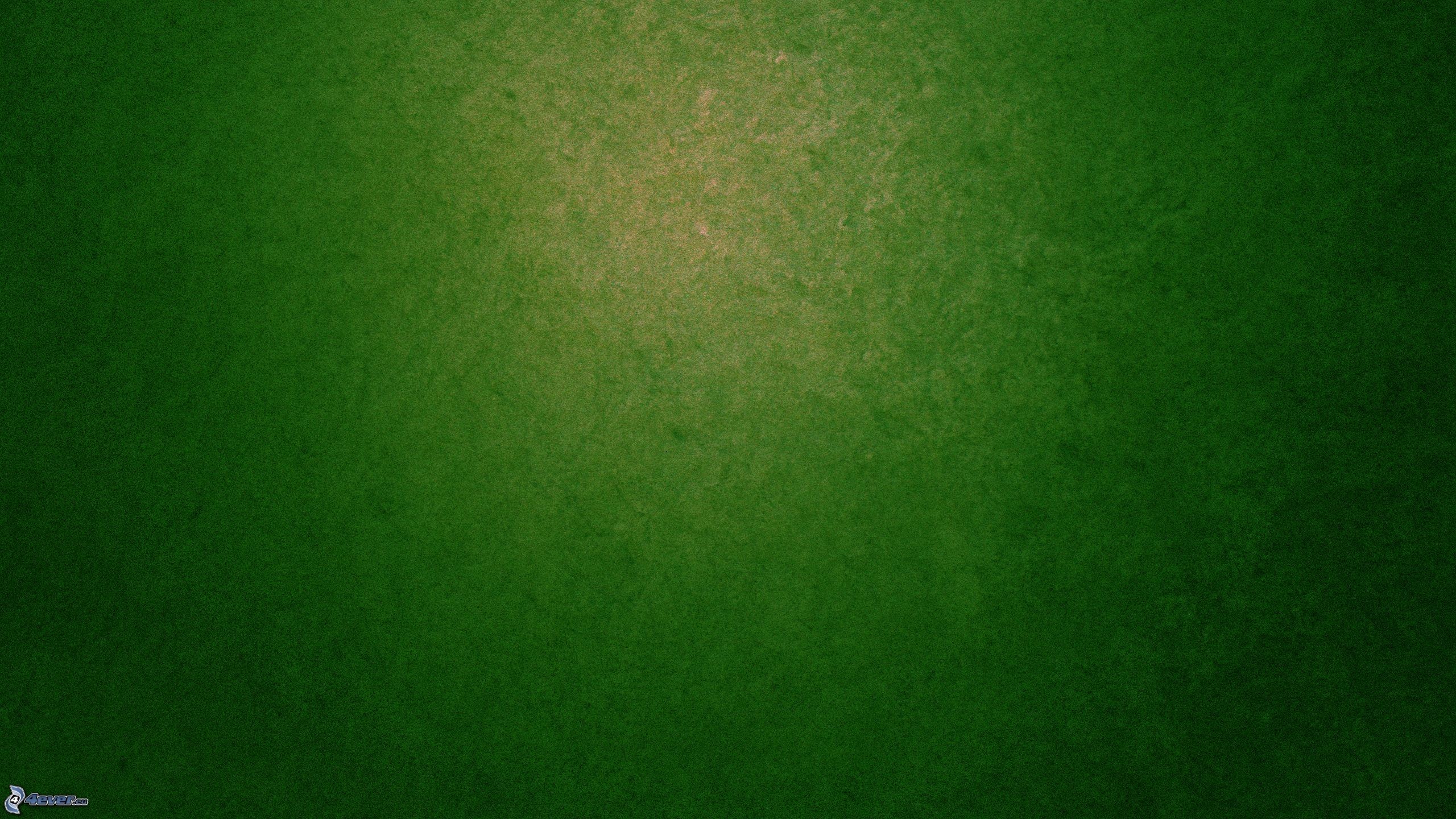 Texture, Feltro, Verde scuro, 2K 1440p, sfondo desktop