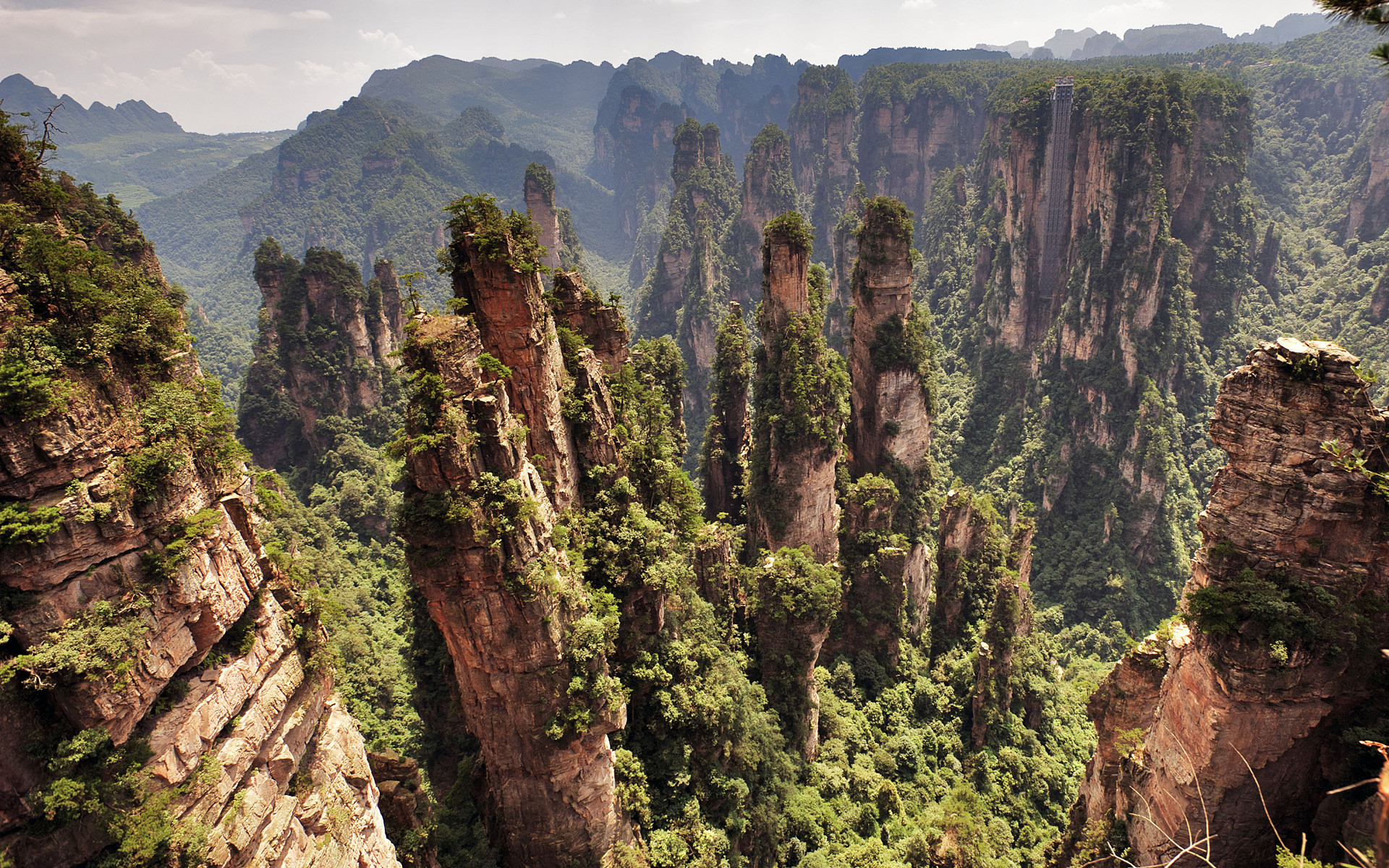 Zhangjiajie, Hunan, Cina, Pilastri di roccia, Foresta, Full HD, sfondo per PC e portatile
