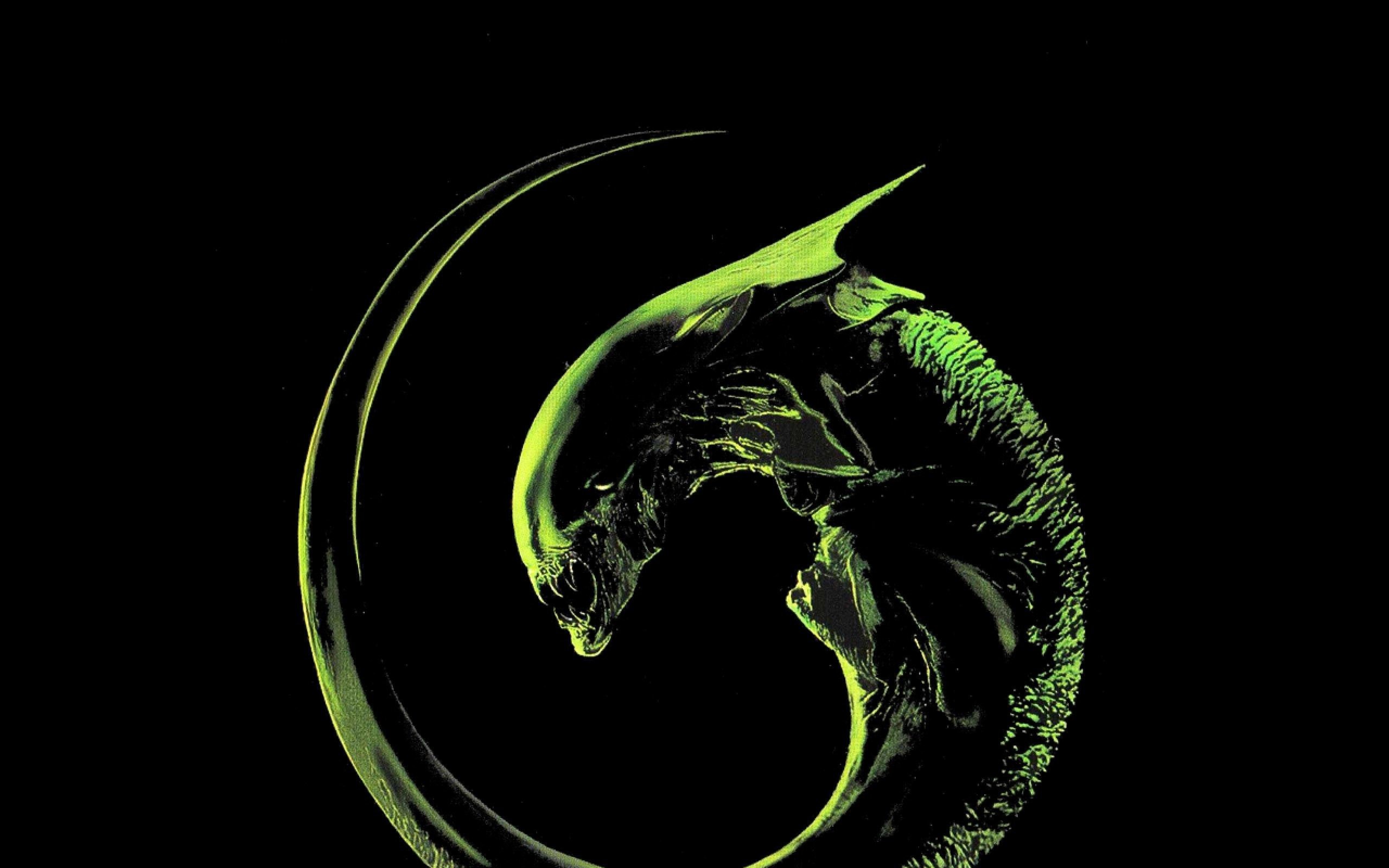 Xenomorfo, Alien, Verde, Sfondo nero, 2560x1600, wallpaper desktop
