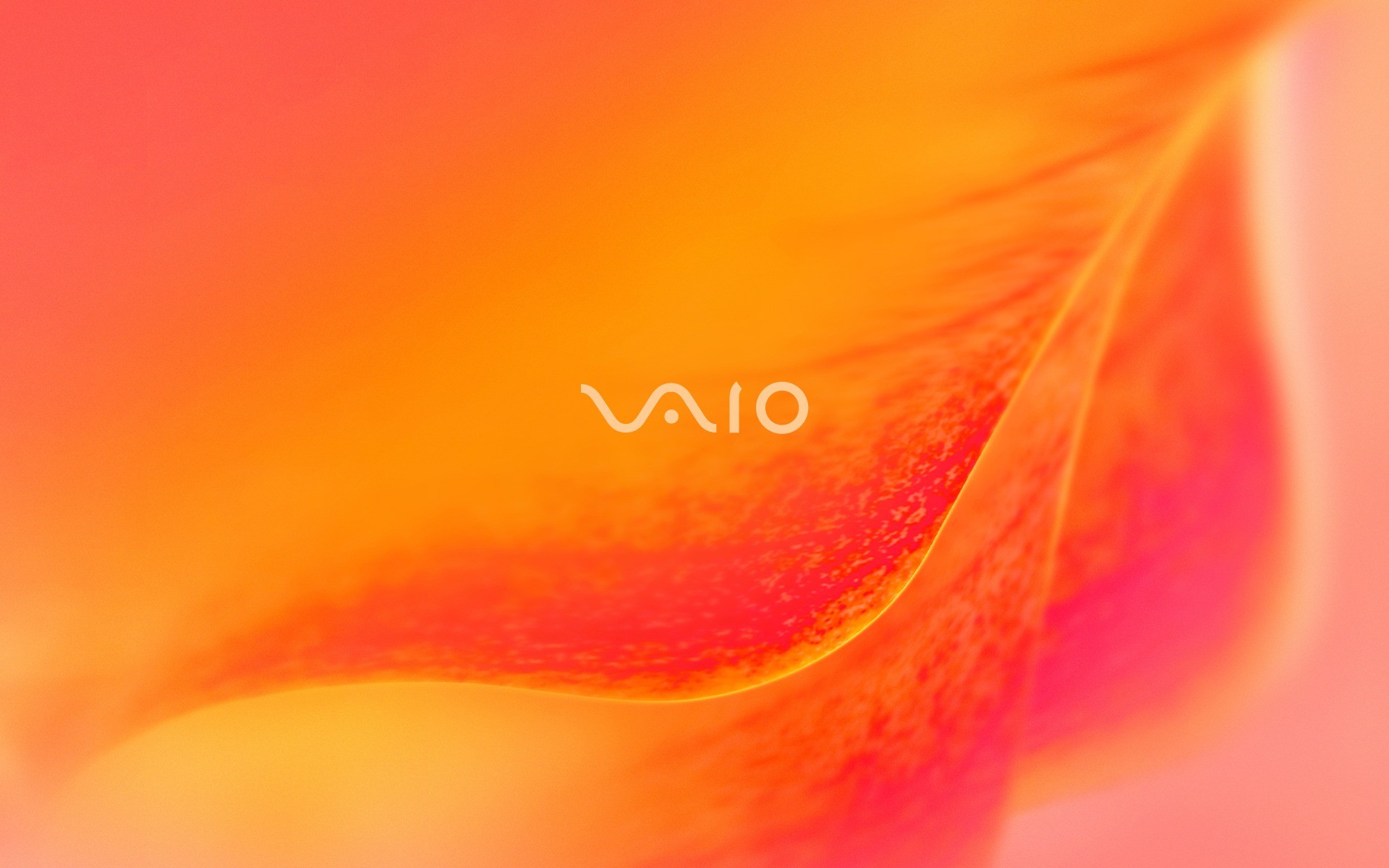 Sony VAIO, Logo, Petalo, Arancione e rosa, 1920x1200, sfondo per PC