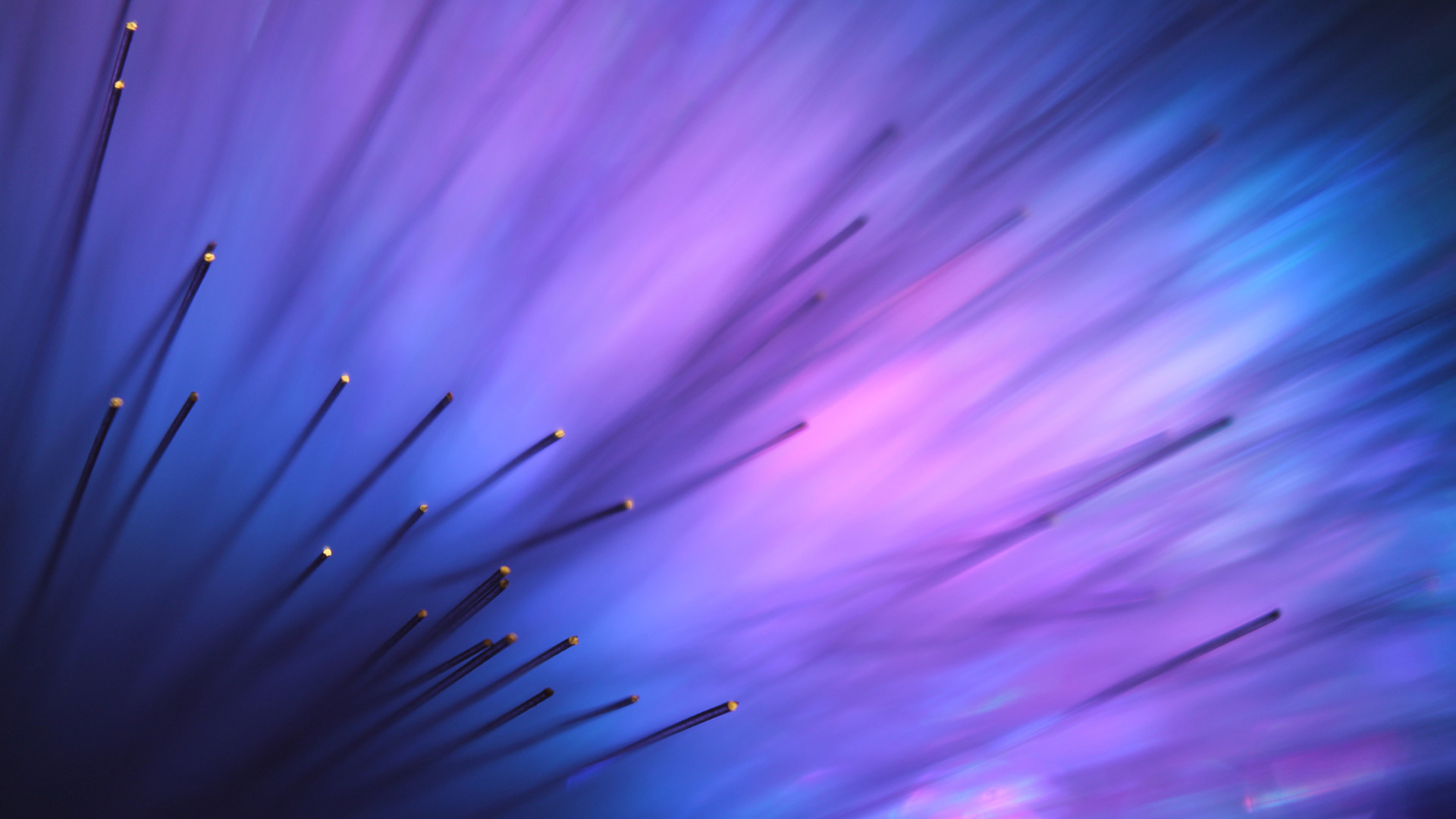 Fibre ottiche, Viola, Blu, Astratto, 1920x1080, immagine di sfondo