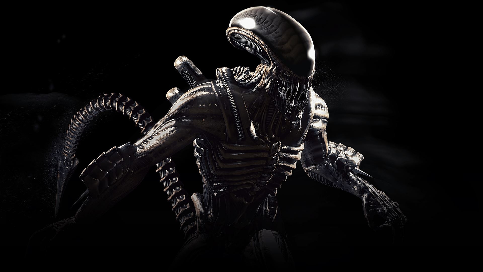 Xenomorfo, Alien, Sfondo nero, 16:9 Full HD, wallpaper widescreen