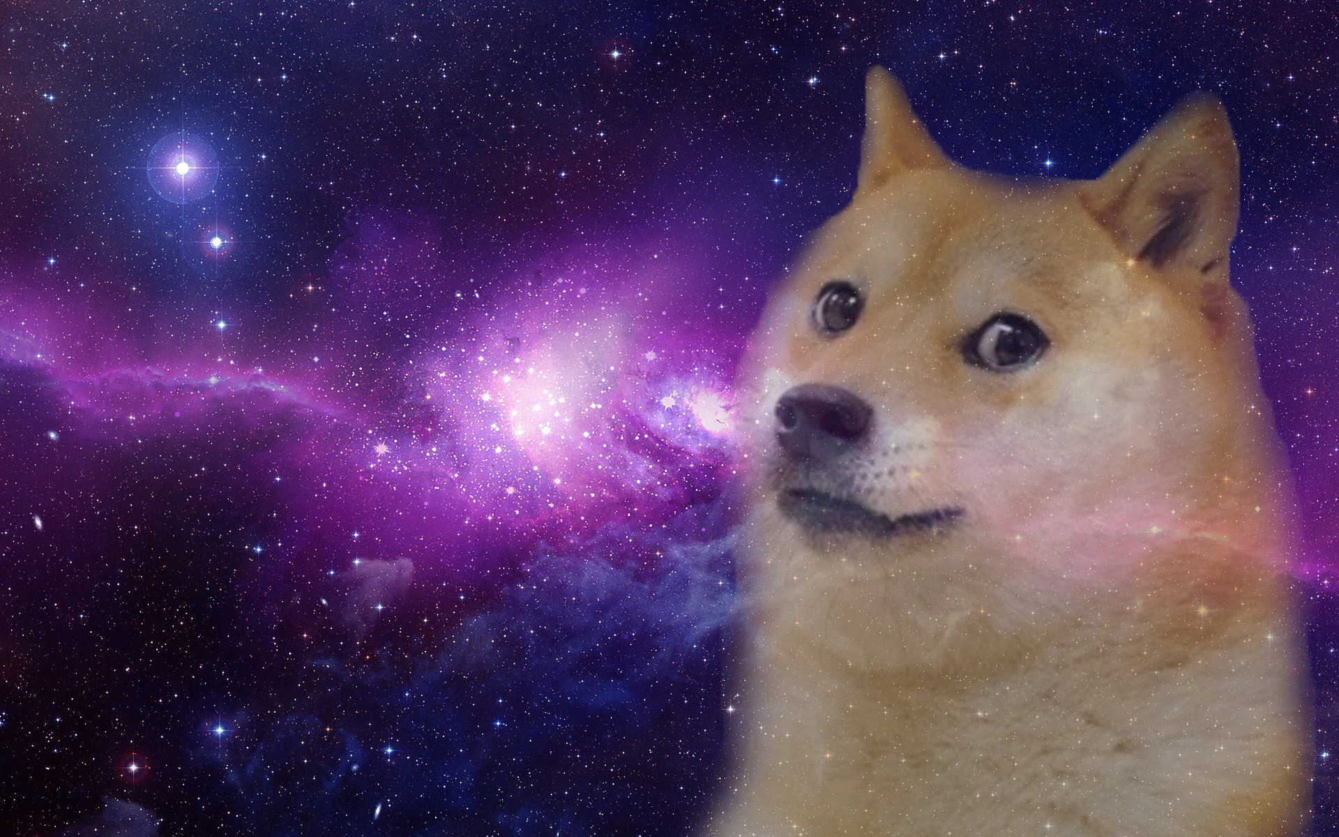 Doge, Shiba Inu, Galassia viola, 1920x1200, sfondo MacBook Pro