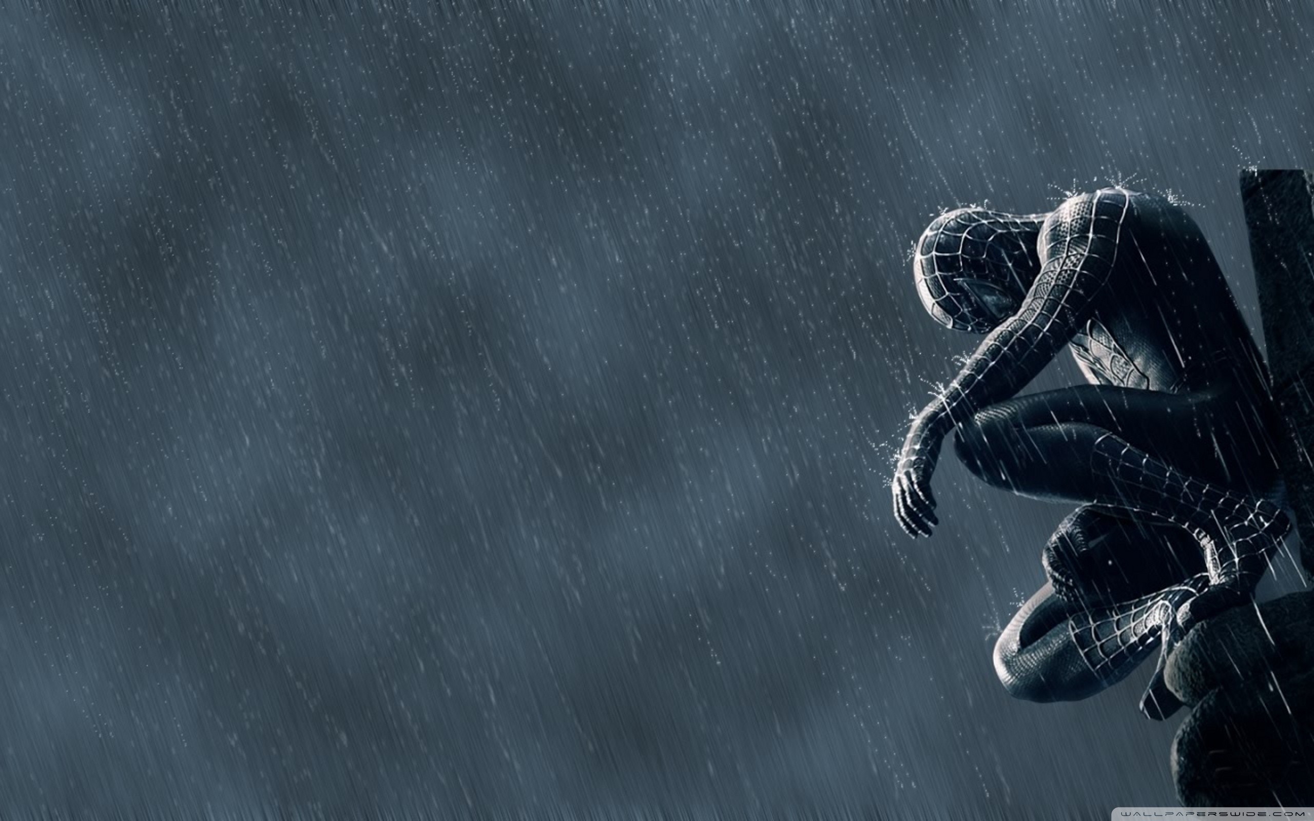 Spider-Man, Simbionte, Pioggia, Grigio, 16:10 2K, sfondo widescreen