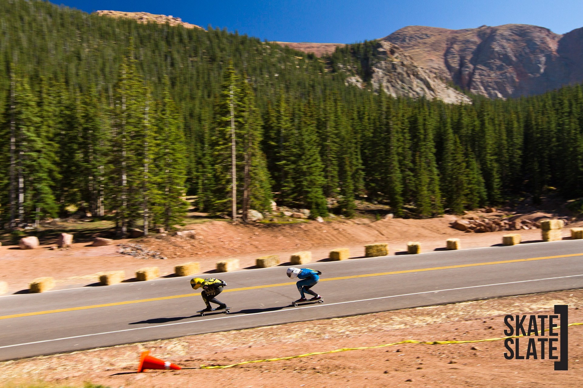 Longboard downhill, Strada di montagna, Pineta, Skate Slate, Full HD, sfondo desktop