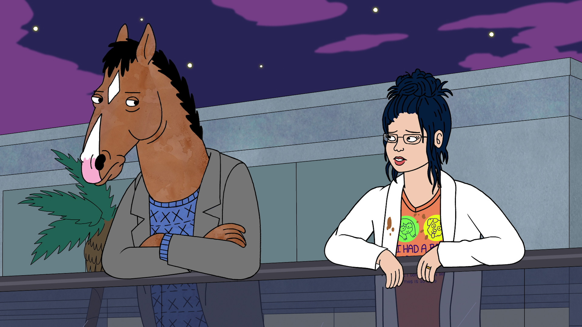 BoJack Horseman, Diane Nguyen, Notte, Balcone, Full HD 1080p, sfondo desktop