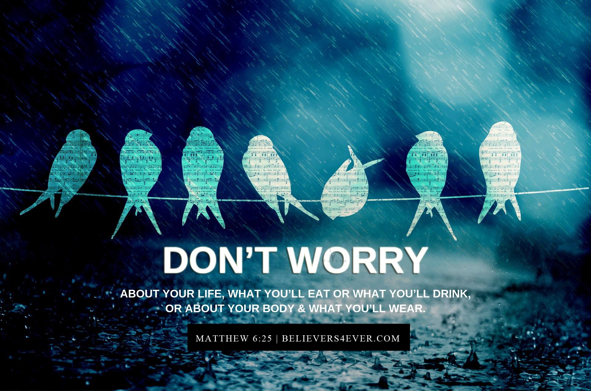 Don't Worry, Matteo 6:25, Uccelli sul filo, Citazione biblica, Full HD, wallpaper per PC