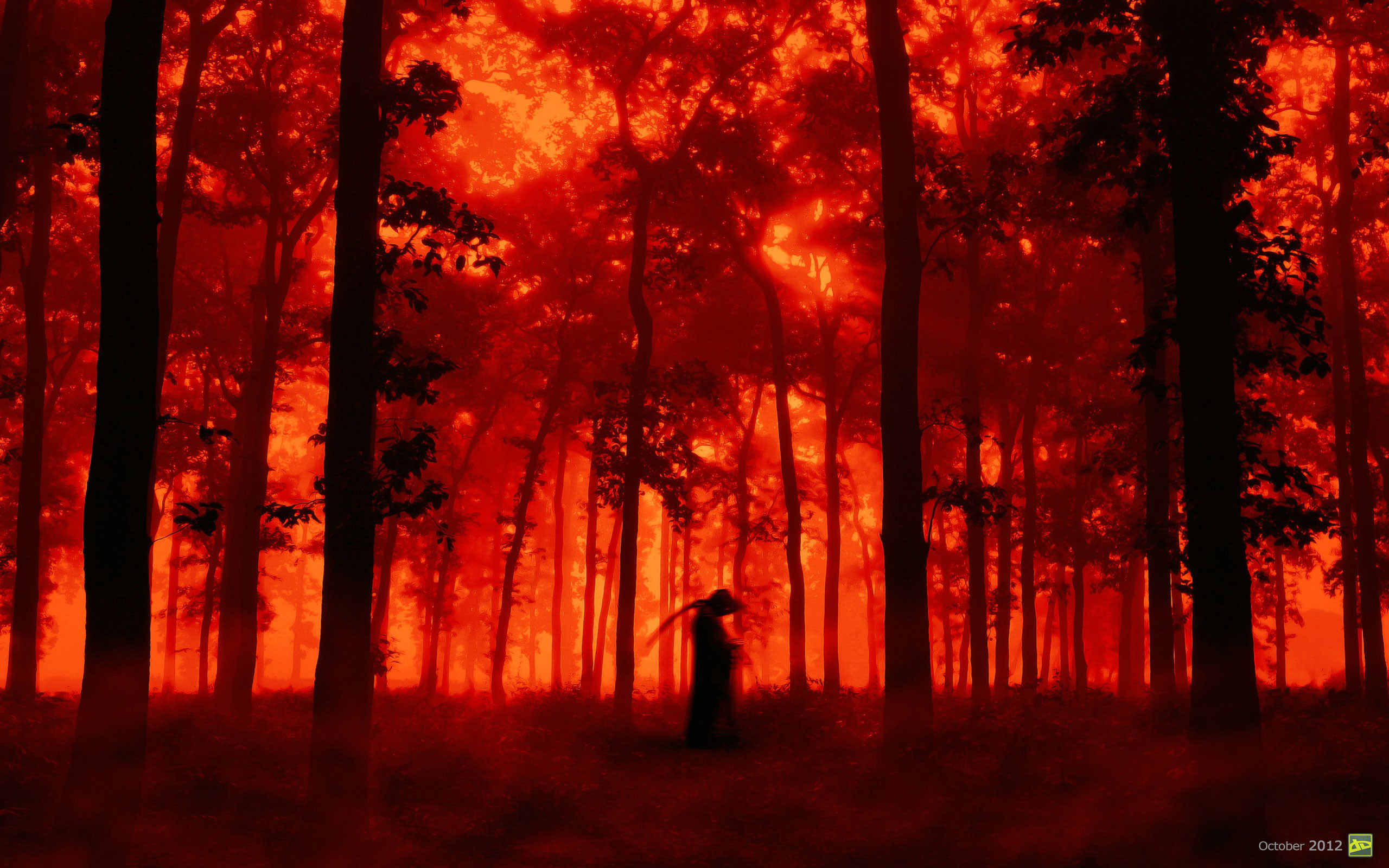 Foresta rossa, Tristo Mietitore, Alberi, Nebbia, Horror, 16:10 2K, sfondo widescreen