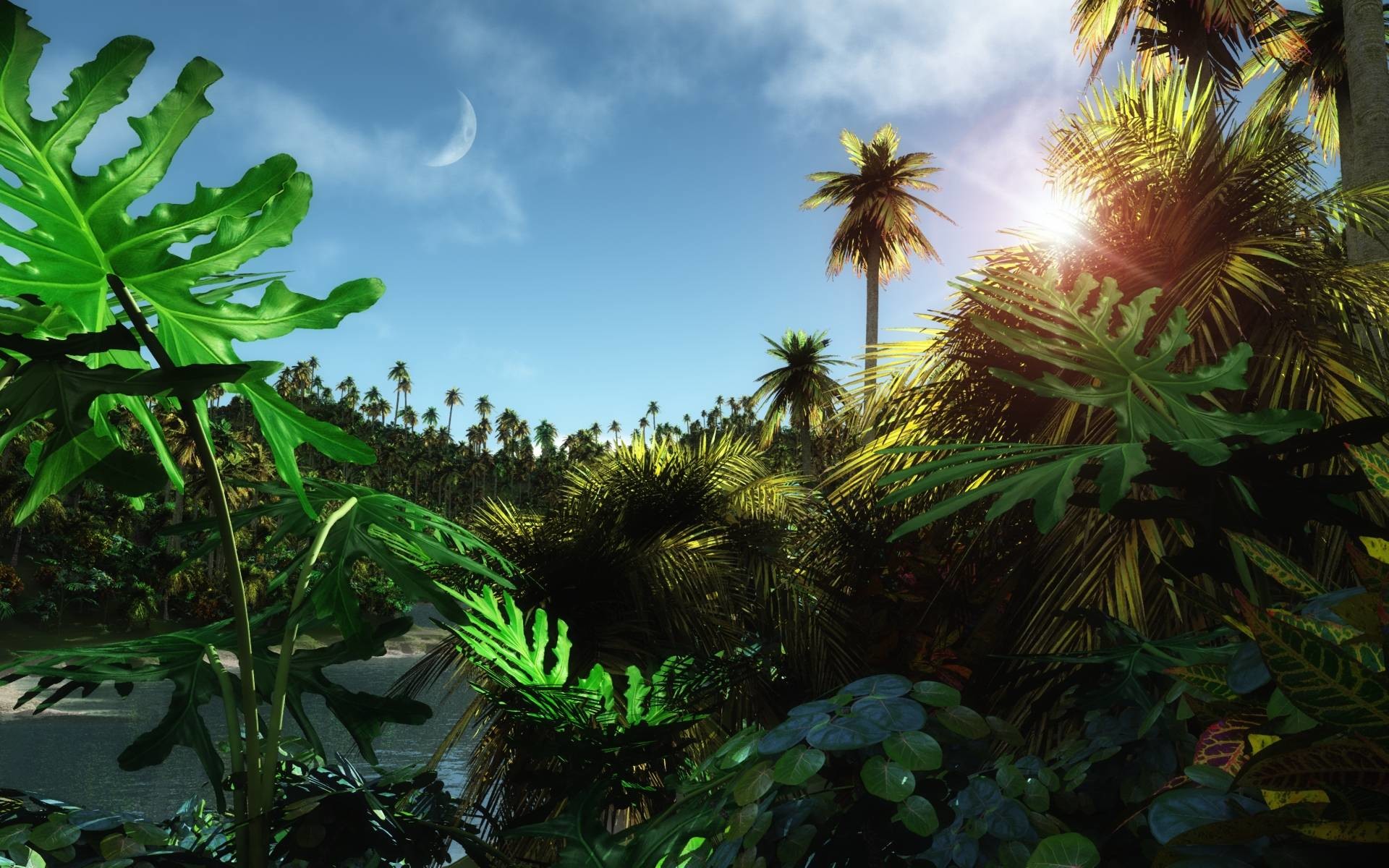 Giungla, Palme, Monstera, Luna, Sole, 16:10 Full HD, sfondo widescreen