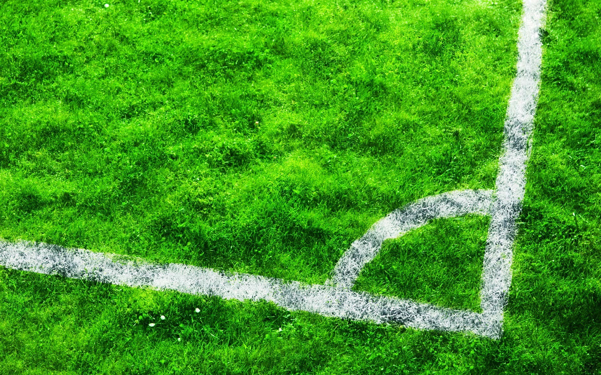 Calcio d'angolo, Linee bianche, Erba, 16:10 Full HD, sfondo widescreen