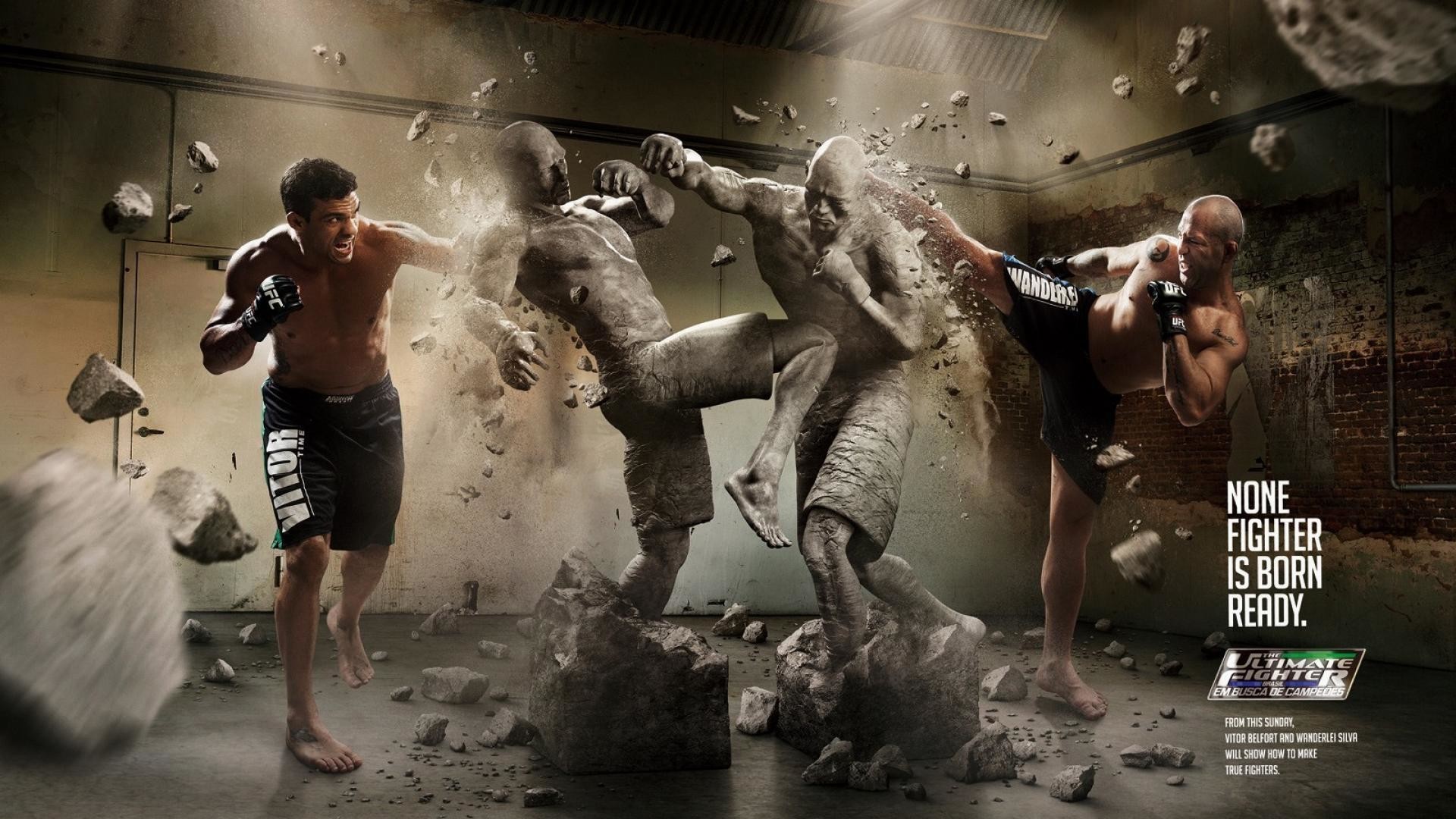 MMA, Statue, Calcio volante, Full HD, sfondo per portatile