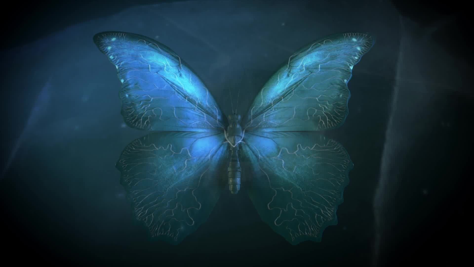 Until Dawn, Farfalla, Effetto farfalla, Blu, Buio, Full HD, wallpaper per PC