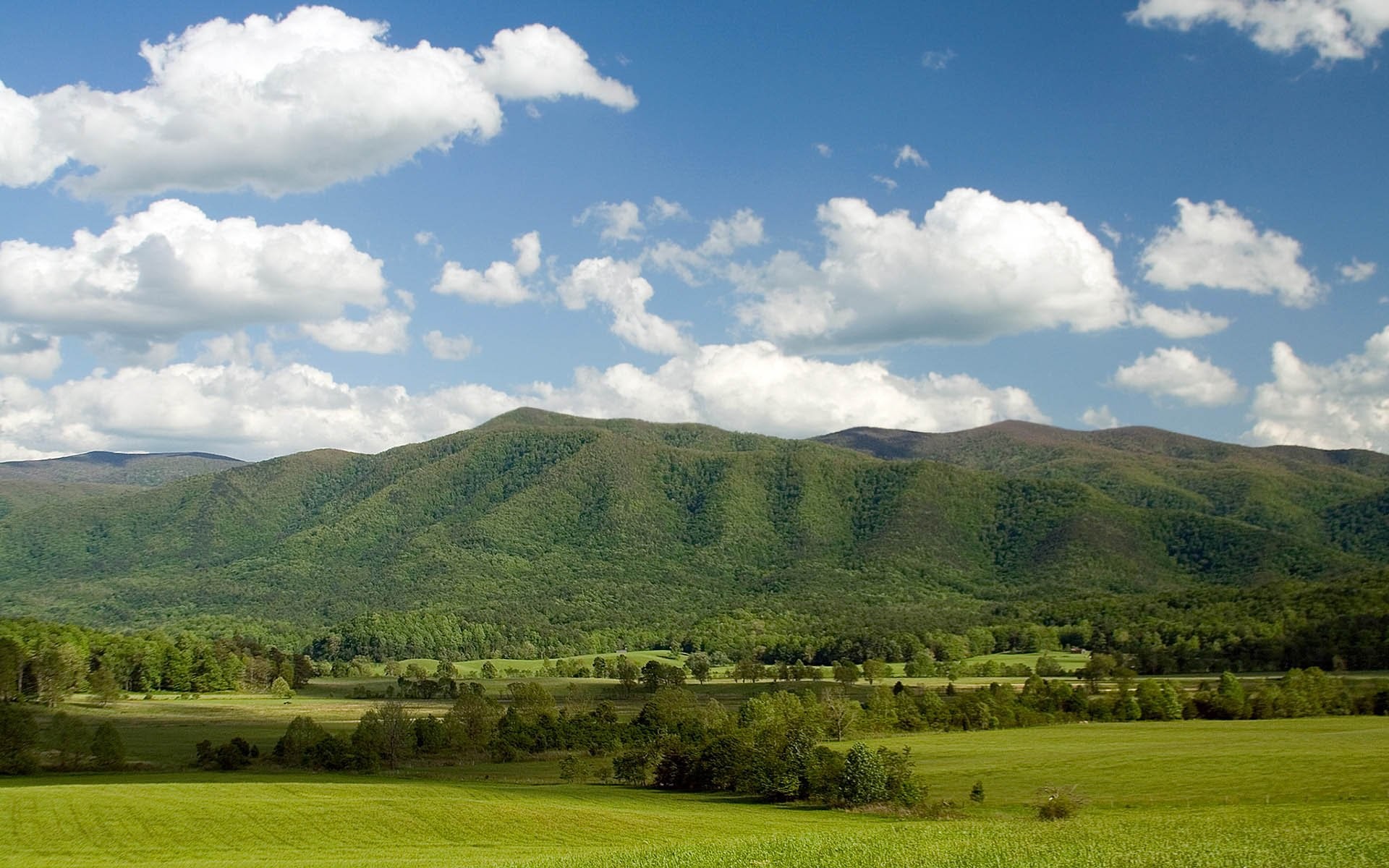 Colline, Prati, Nuvole, Paesaggio, Full HD, immagine di sfondo Windows